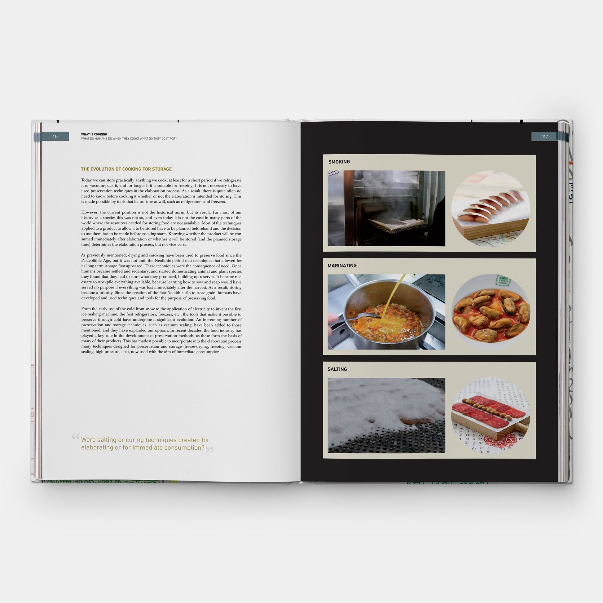 WHAT IS COOKING: THE ACTION: COOKING, THE RESULT: CUISINE