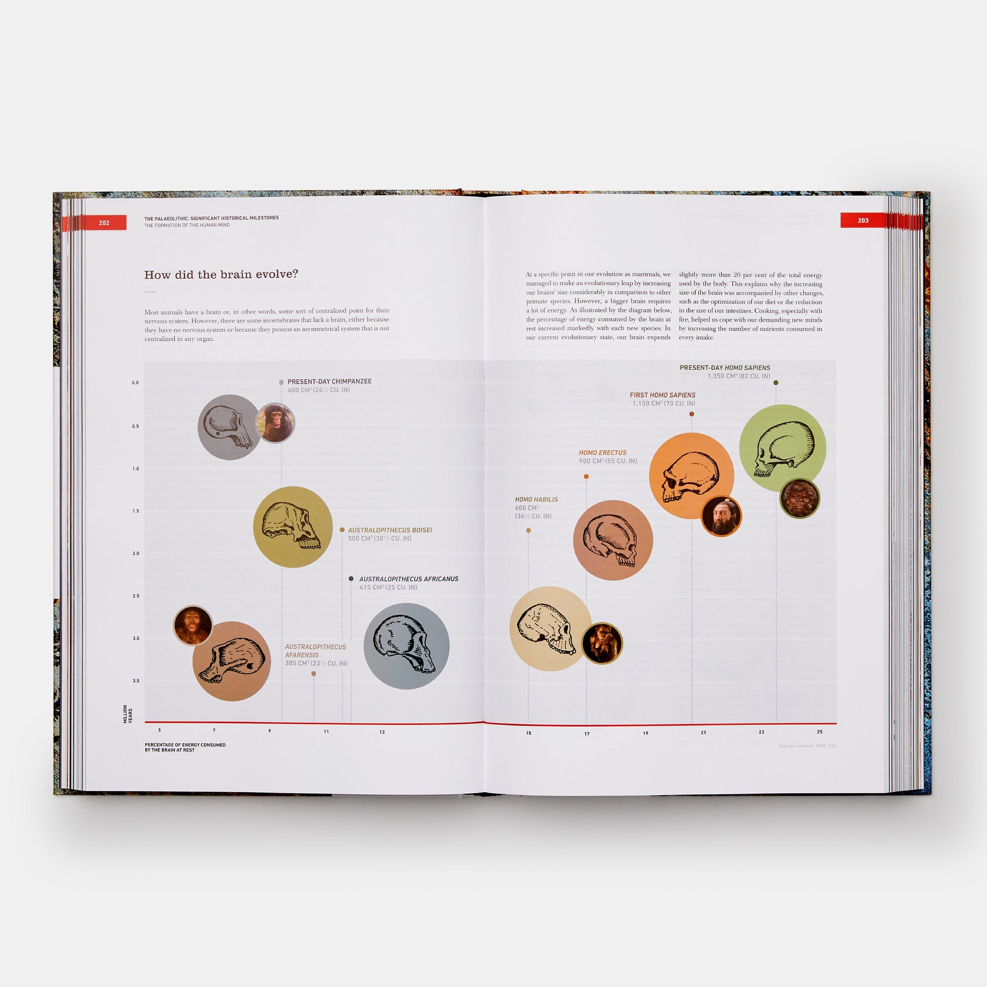 THE ORIGINS OF COOKING: PALAEOLITHIC AND NEOLITHIC COOKING