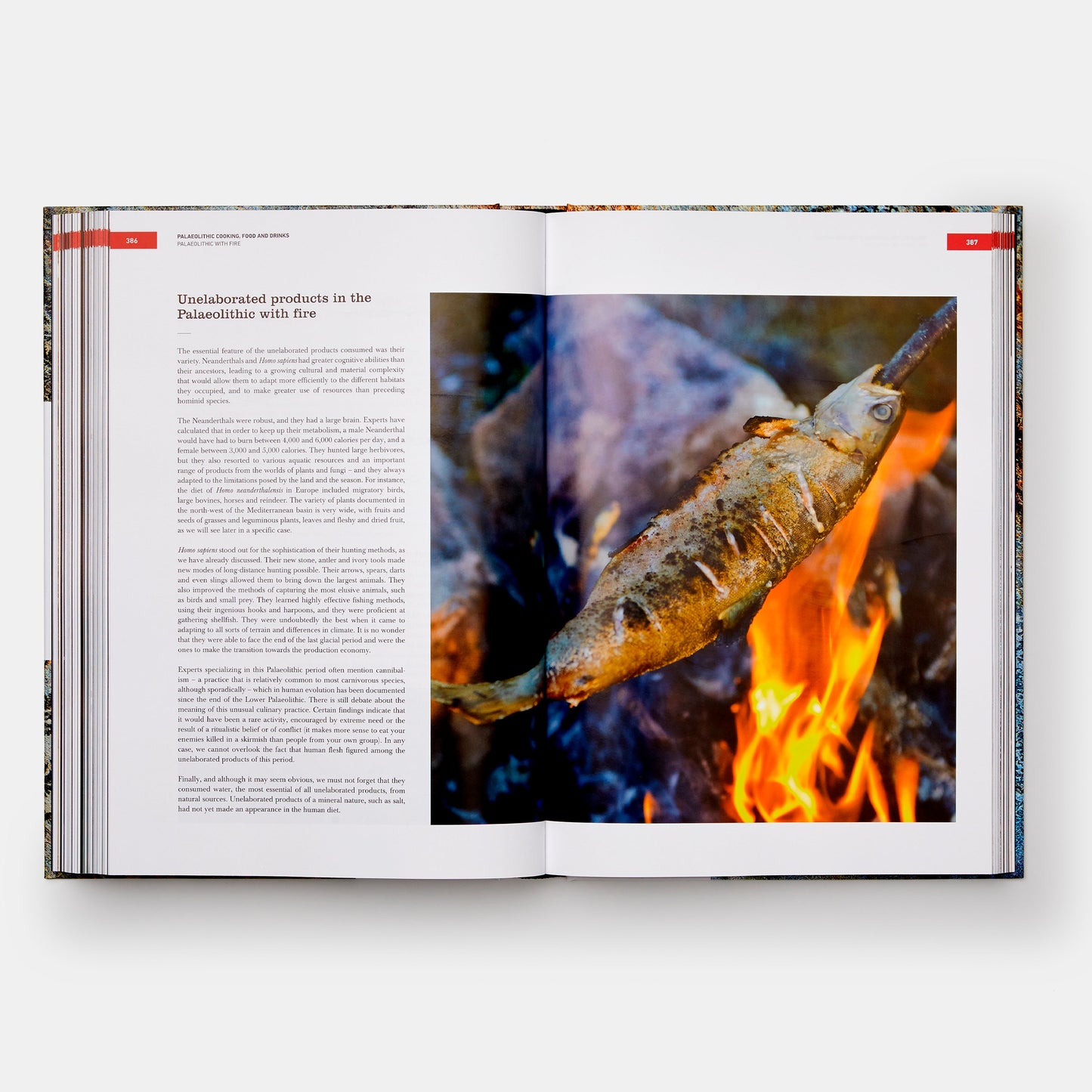 THE ORIGINS OF COOKING: PALAEOLITHIC AND NEOLITHIC COOKING