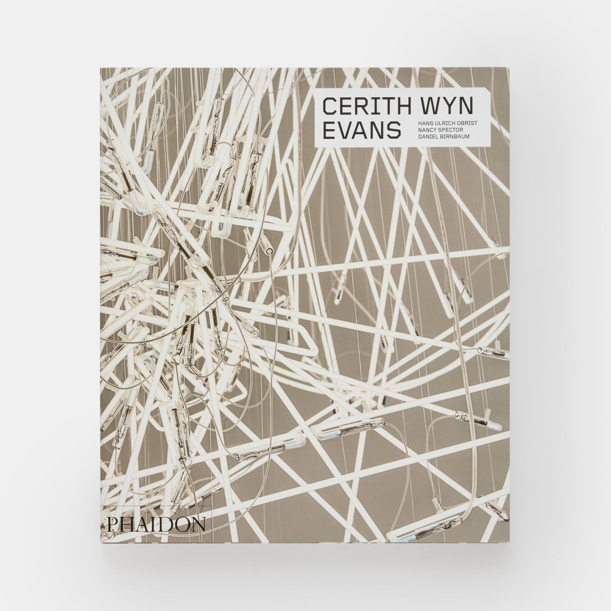 CERITH WYN EVANS