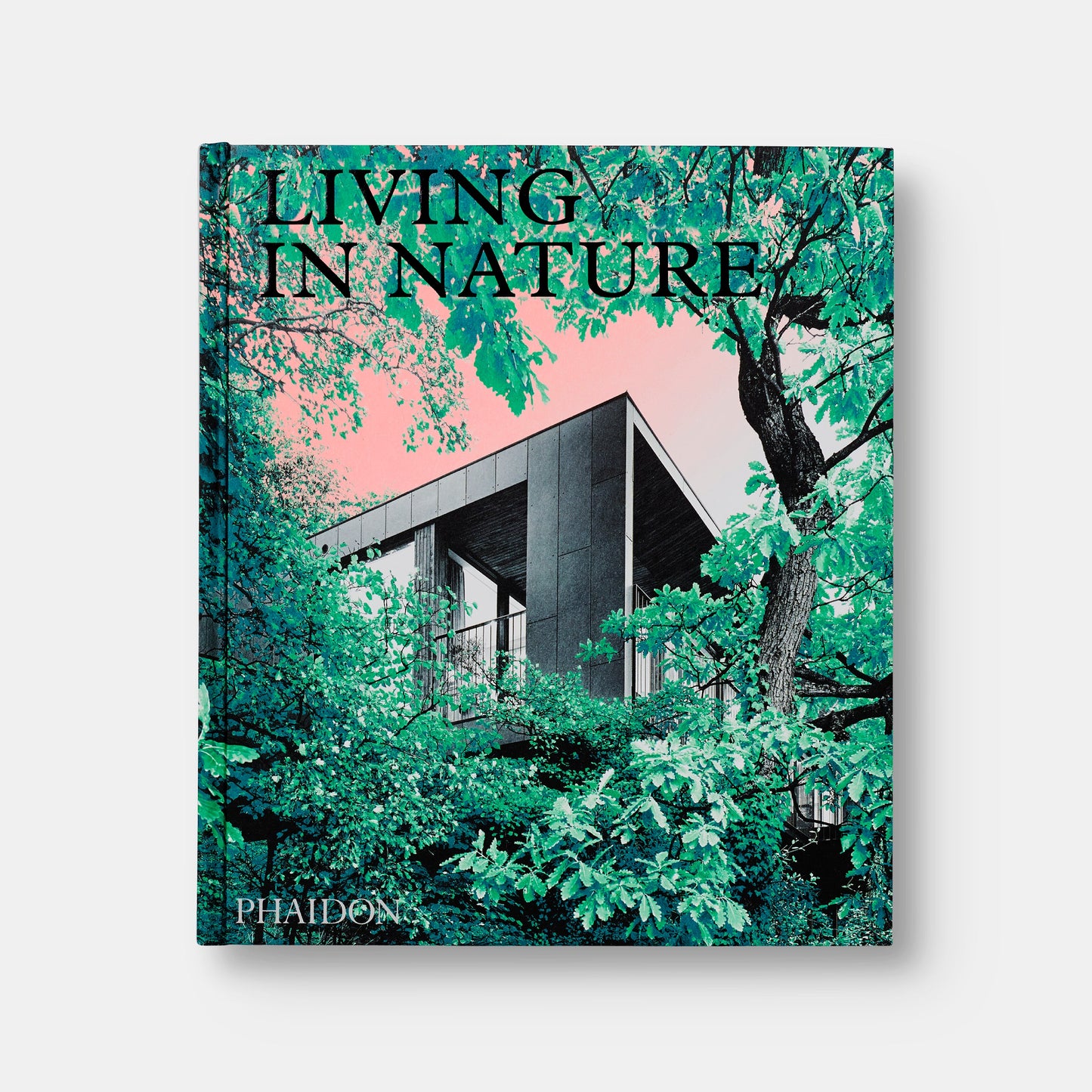 Vivir en la naturaleza: Casas contemporáneas en el mundo natural