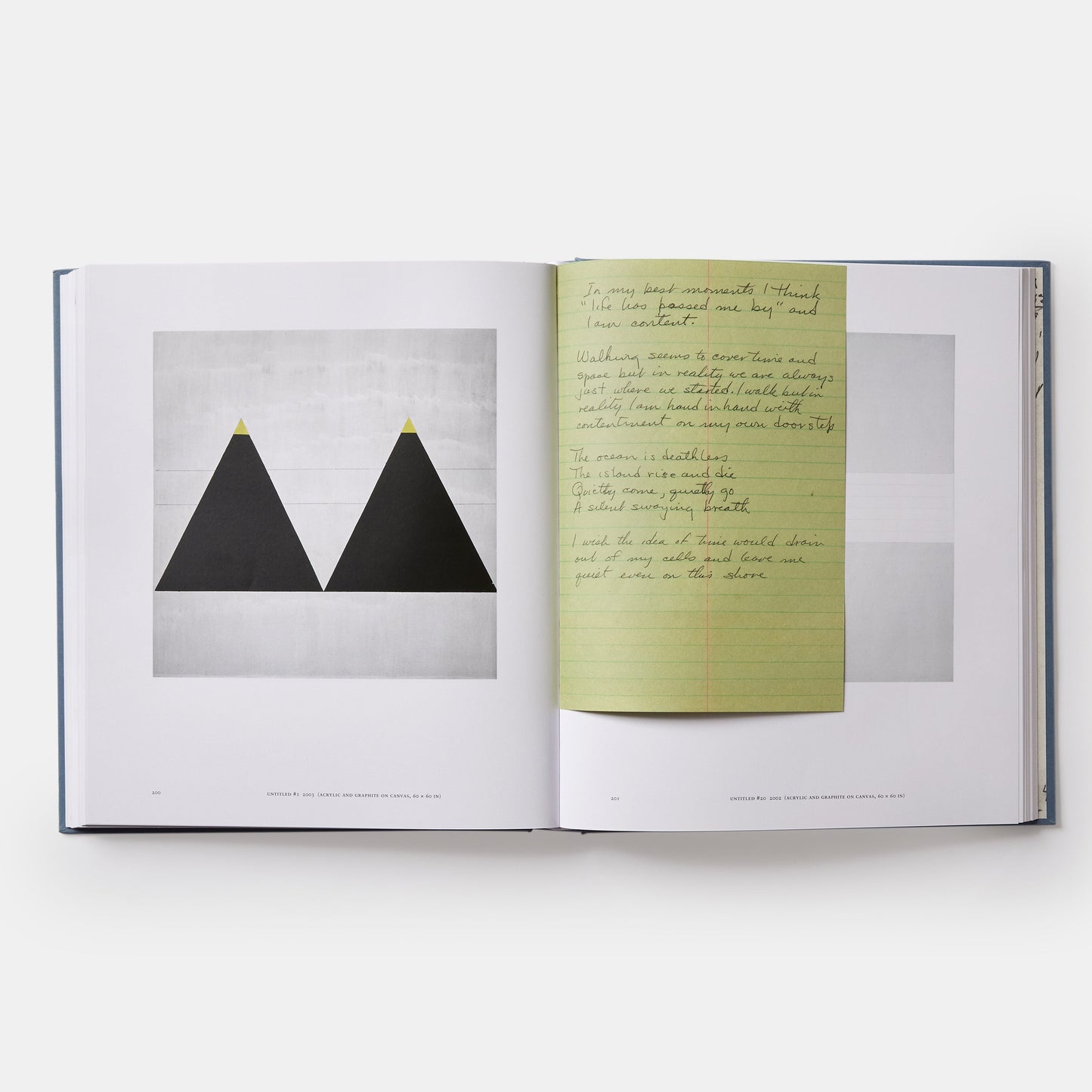 Agnes Martin: Painting, Writings, Remembrances