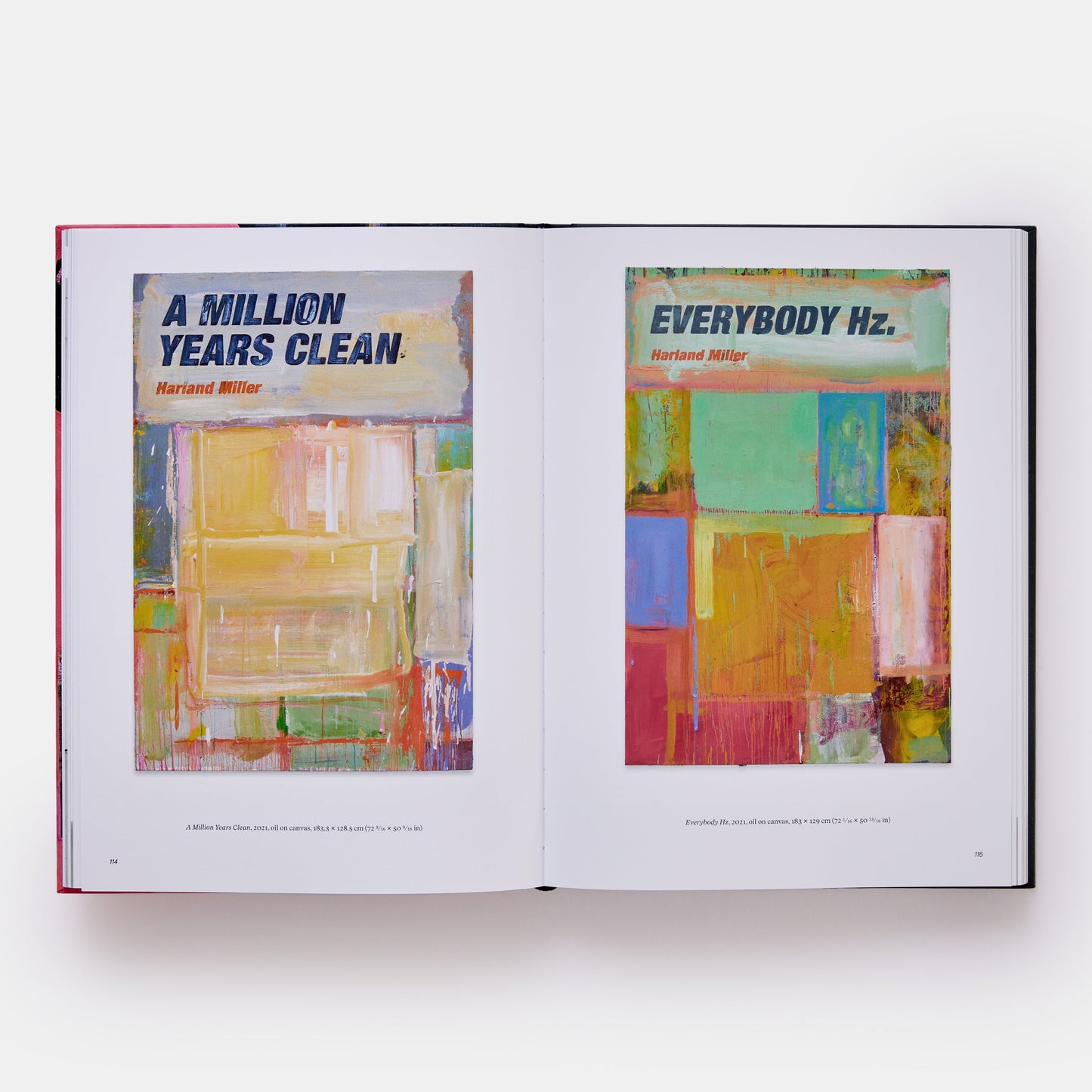 HARLAND MILLER: IN SHADOWS I BOOGIE
