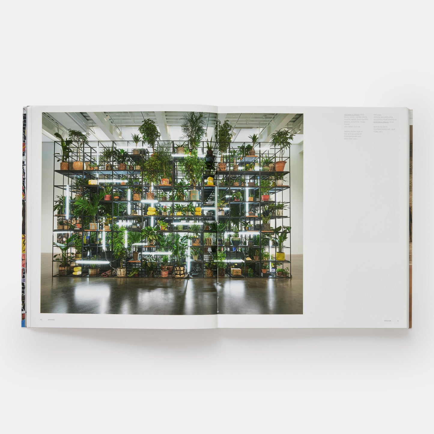 RASHID JOHNSON