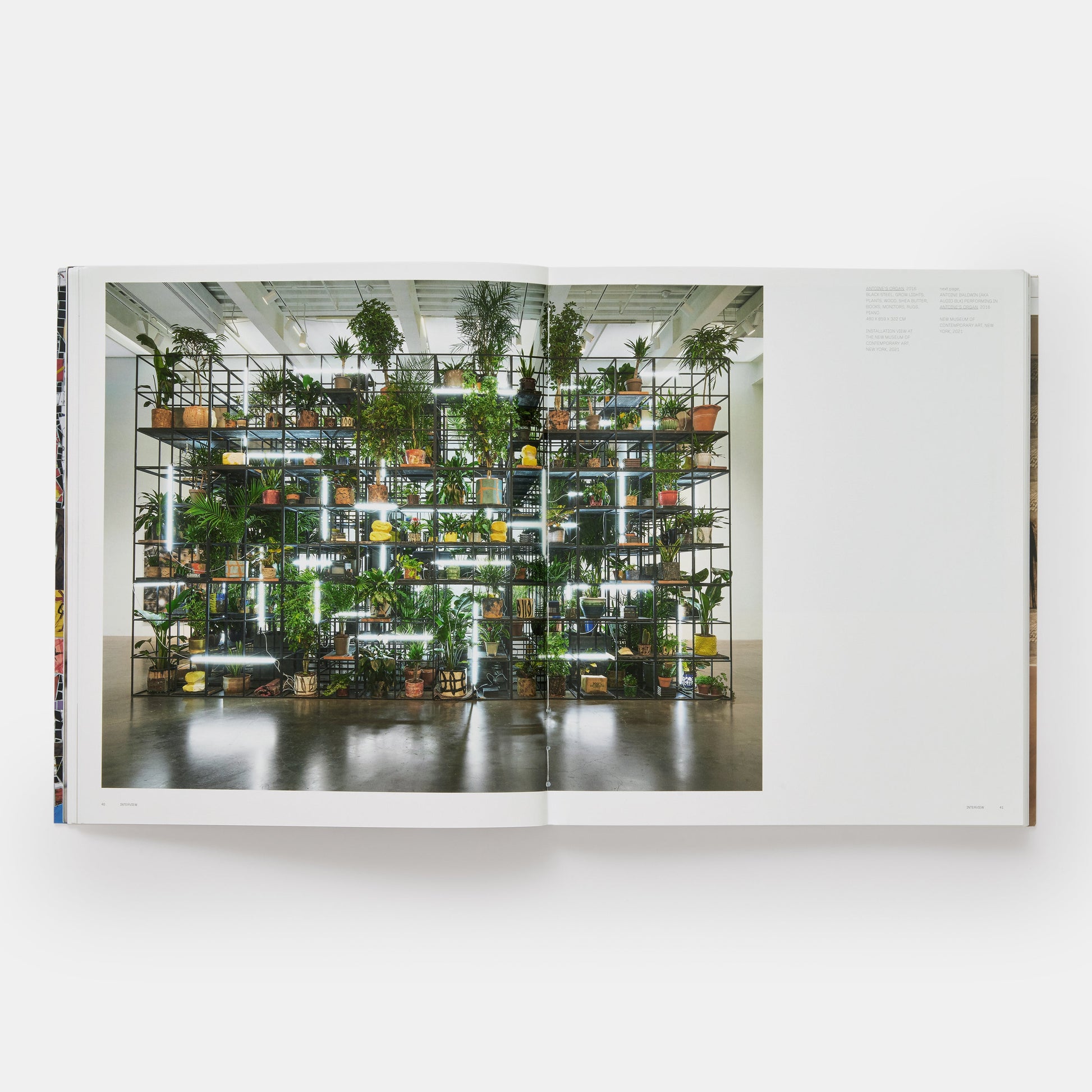RASHID JOHNSON