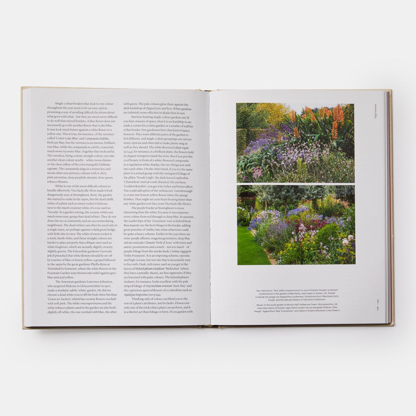 THE SEASONAL GARDENER: CREATIVE PLANTING COMBINATIONS