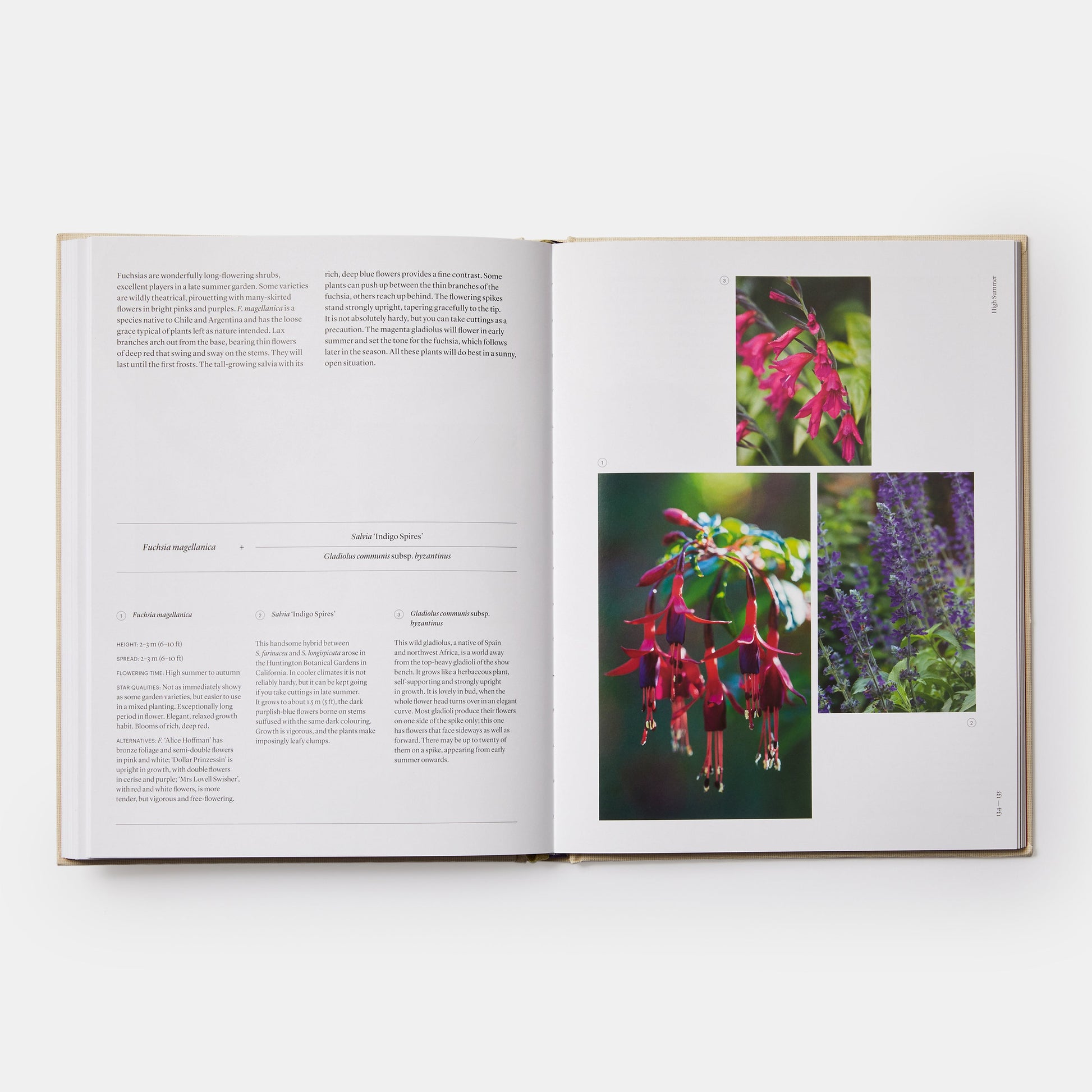 THE SEASONAL GARDENER: CREATIVE PLANTING COMBINATIONS
