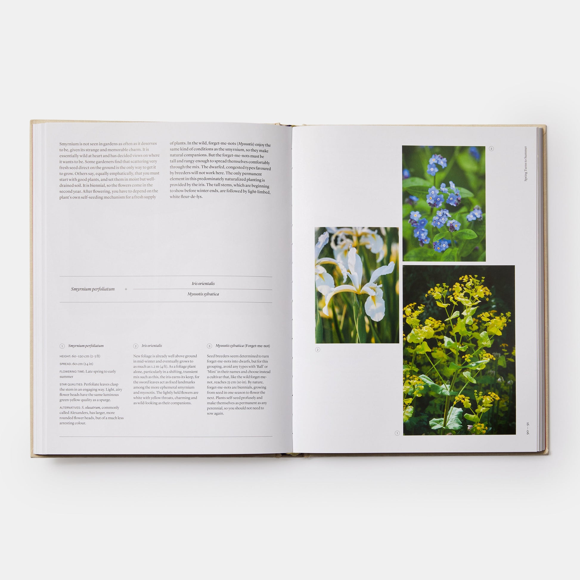THE SEASONAL GARDENER: CREATIVE PLANTING COMBINATIONS