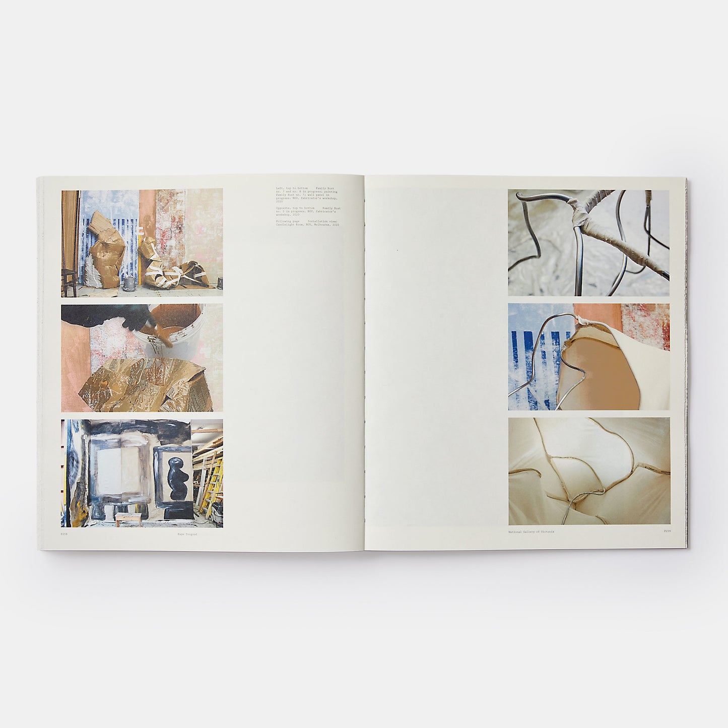 FAYE TOOGOOD: DRAWING, MATERIAL, SCULPTURE, LANDSCAPE