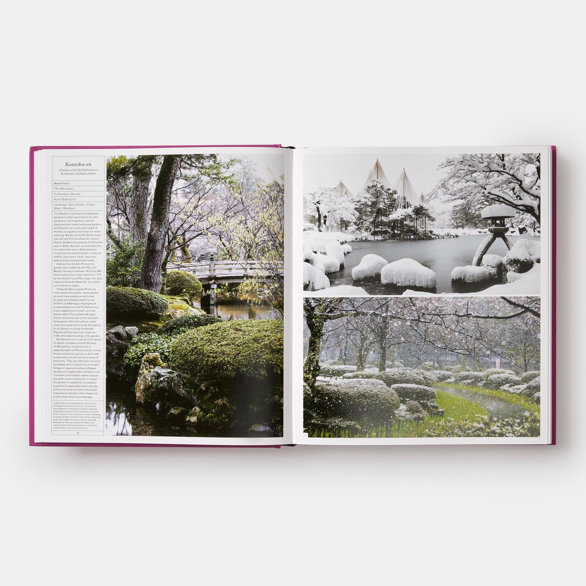 El jardín del jardinero: inspiración a través de continentes y siglos