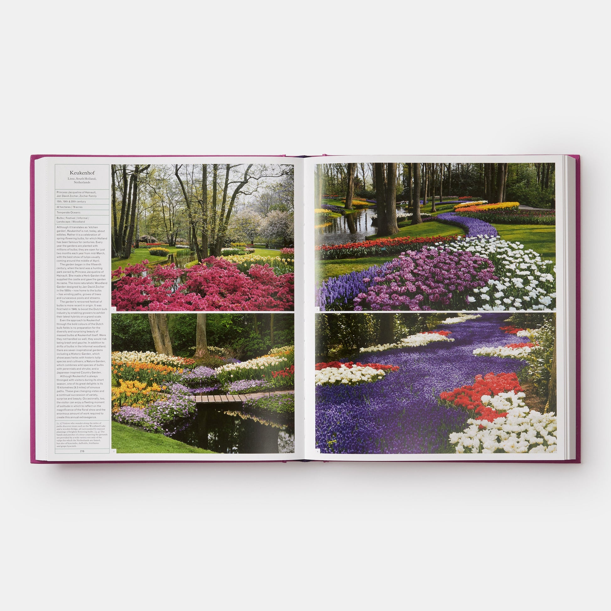 El jardín del jardinero: inspiración a través de continentes y siglos