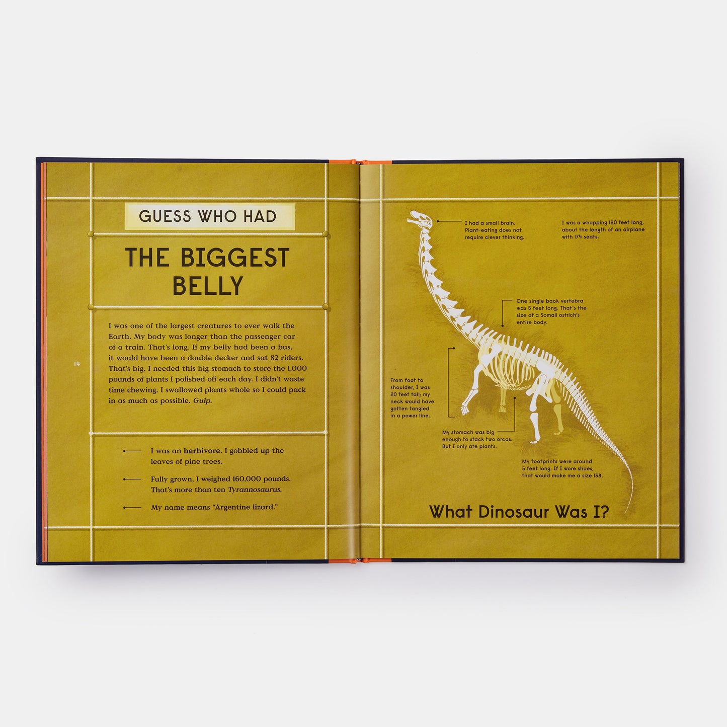 El libro de los dinosaurios: 10 animales prehistóricos que batieron récords