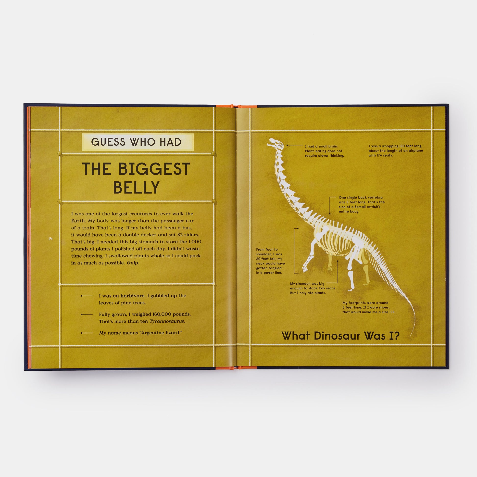 El libro de los dinosaurios: 10 animales prehistóricos que batieron récords
