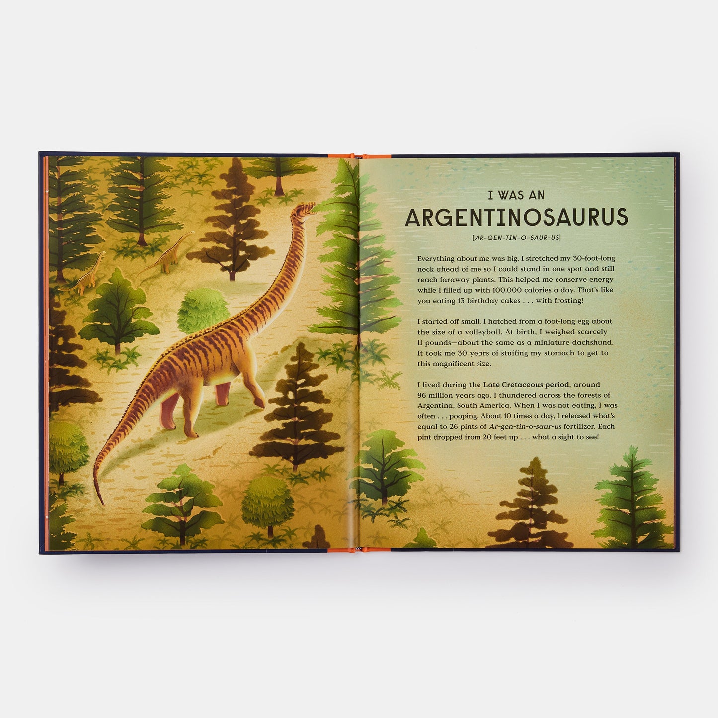 El libro de los dinosaurios: 10 animales prehistóricos que batieron récords
