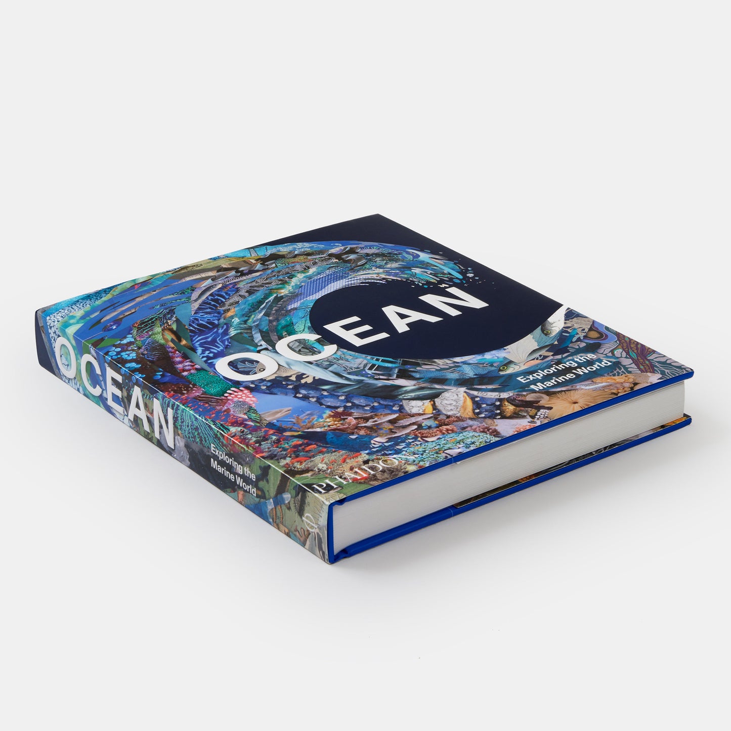 Océano: Explorando el mundo marino