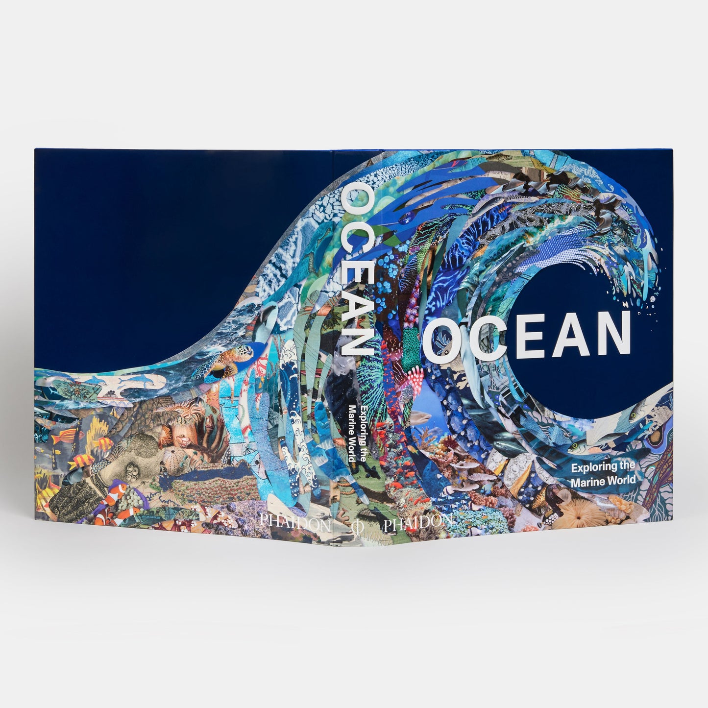 Océano: Explorando el mundo marino