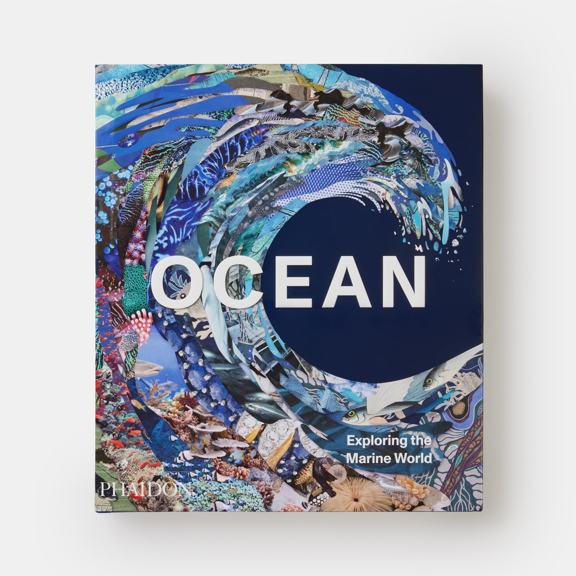 Océano: Explorando el mundo marino