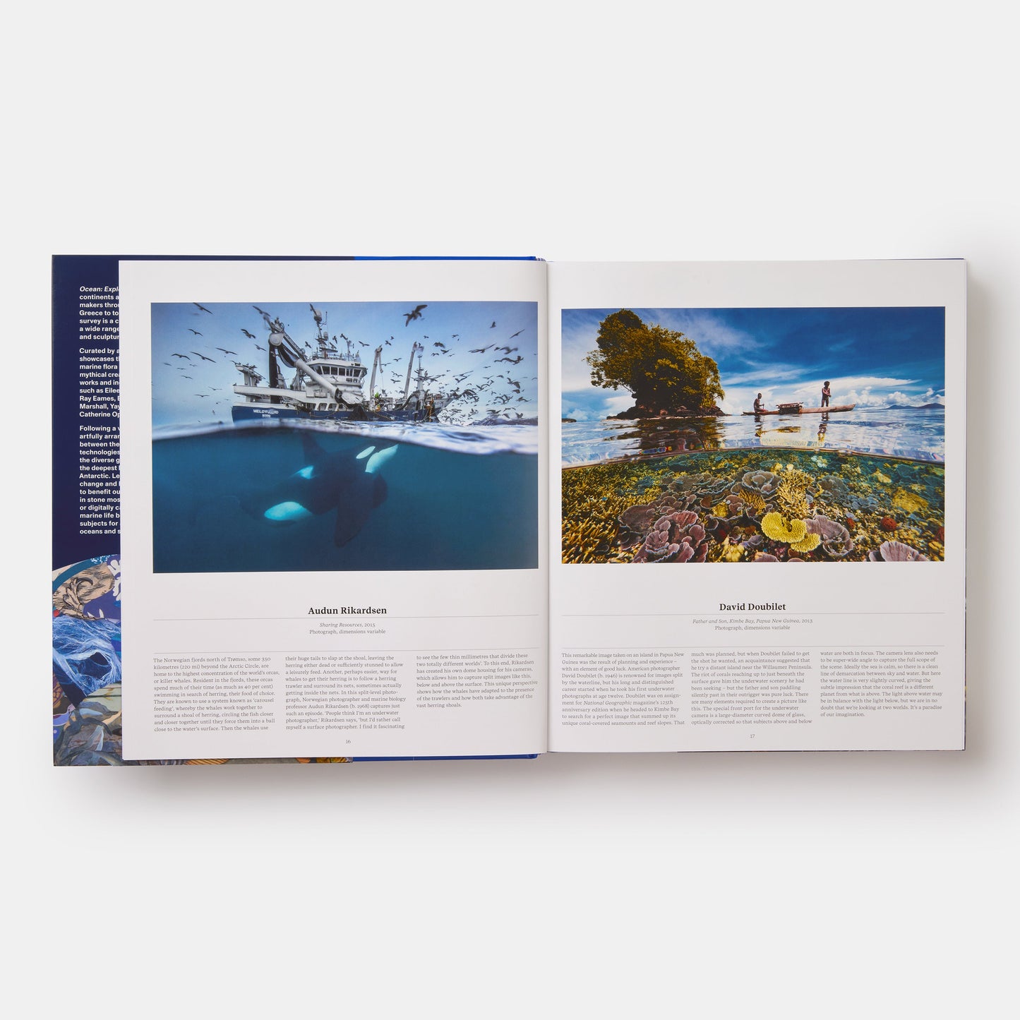 Océano: Explorando el mundo marino