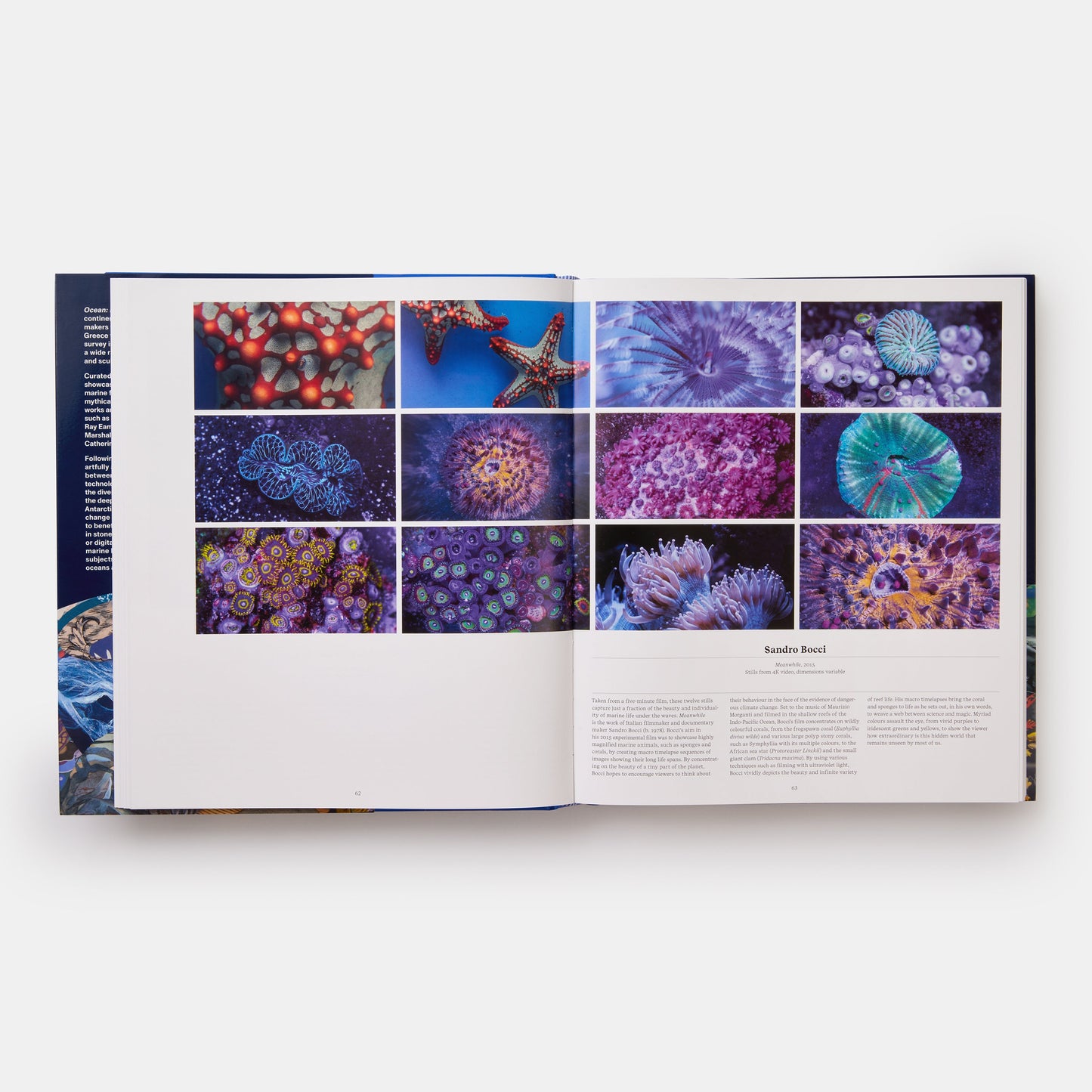 Océano: Explorando el mundo marino