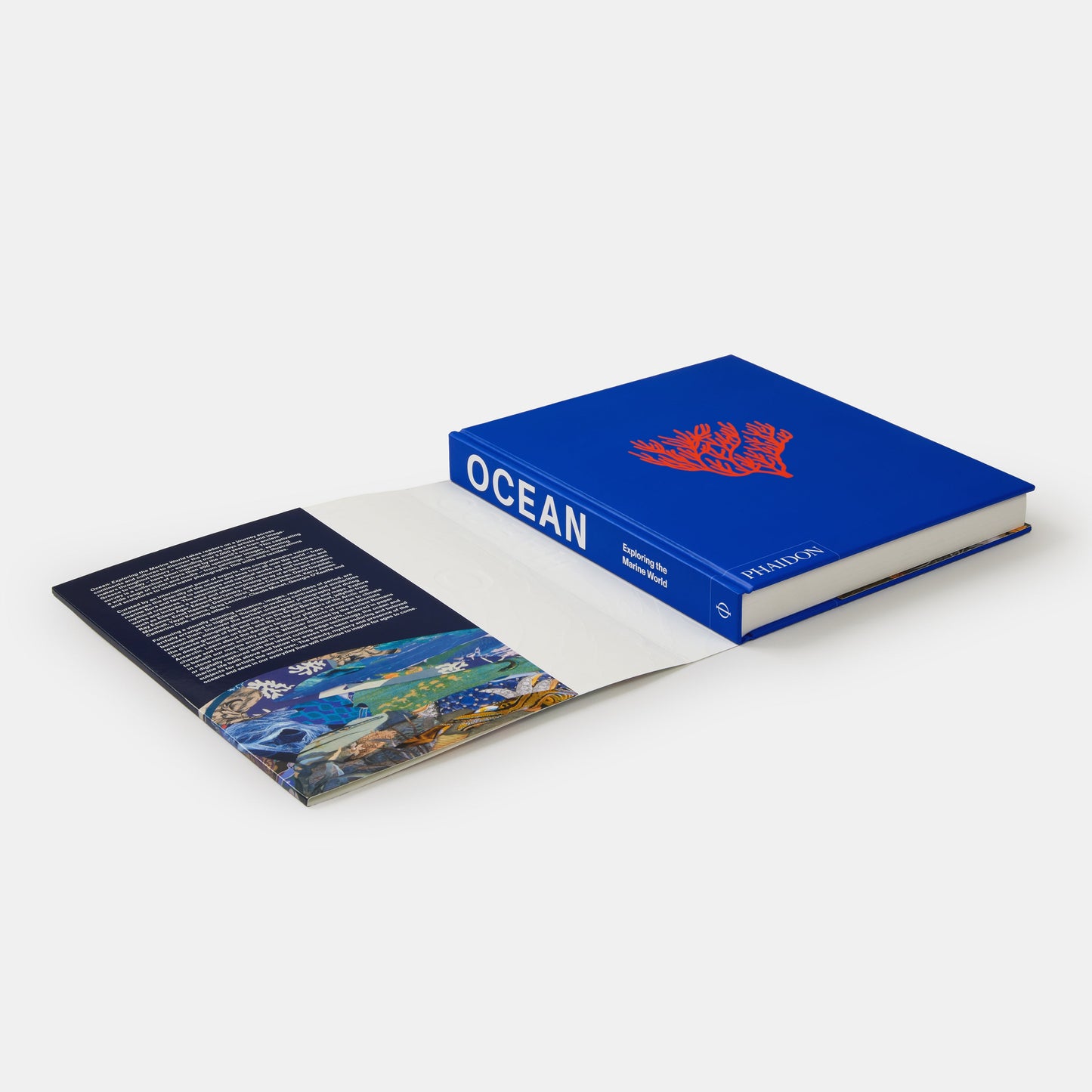 Océano: Explorando el mundo marino