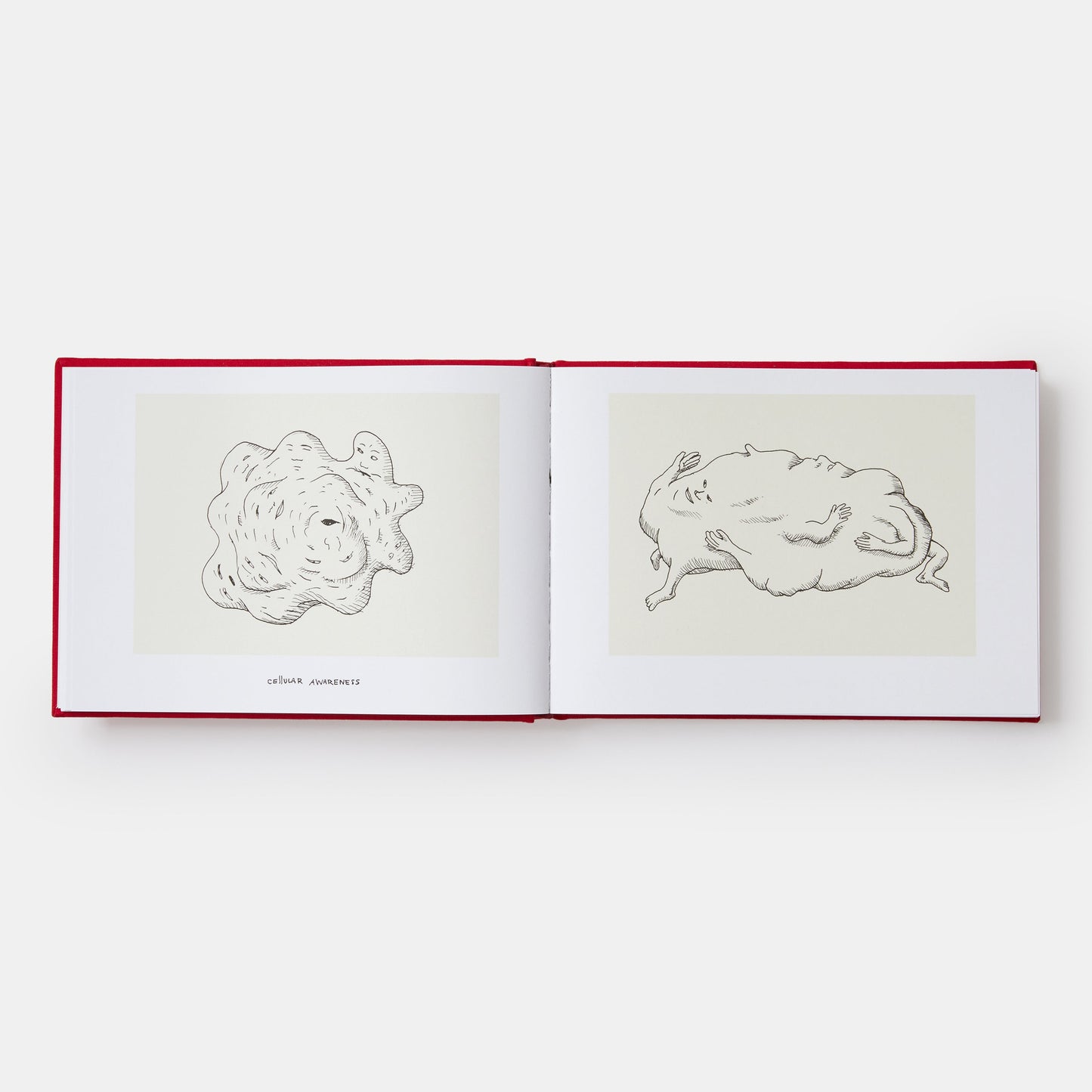 Una historia del mundo (en dingbats): dibujos y palabras