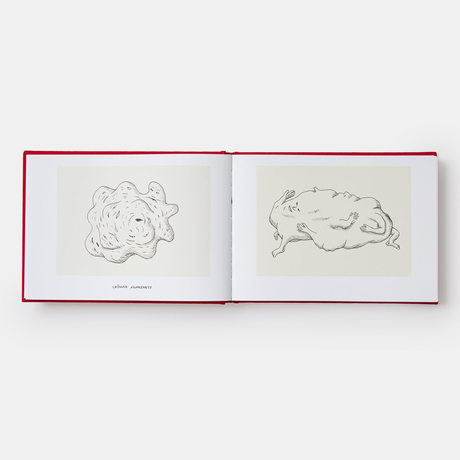 Una historia del mundo (en dingbats): dibujos y palabras