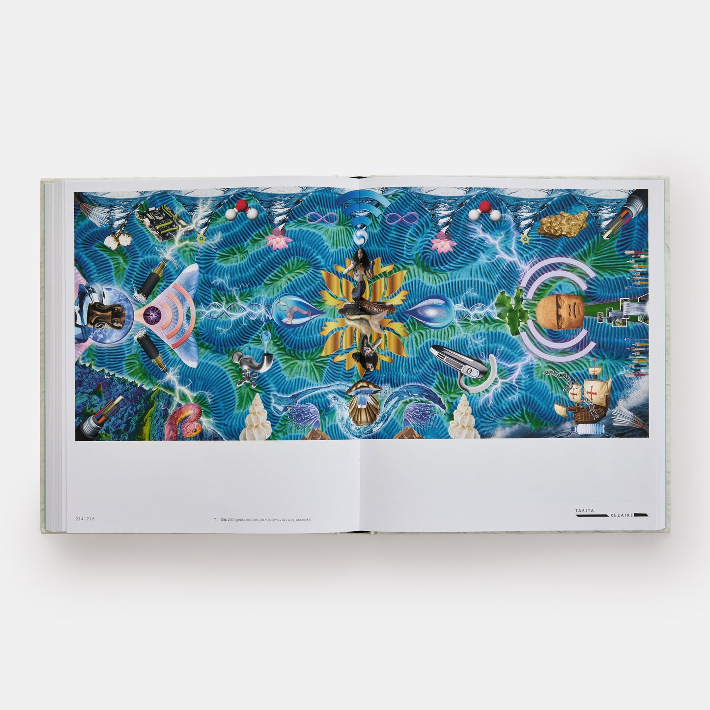 Vitamina C+: Collage en el arte contemporáneo