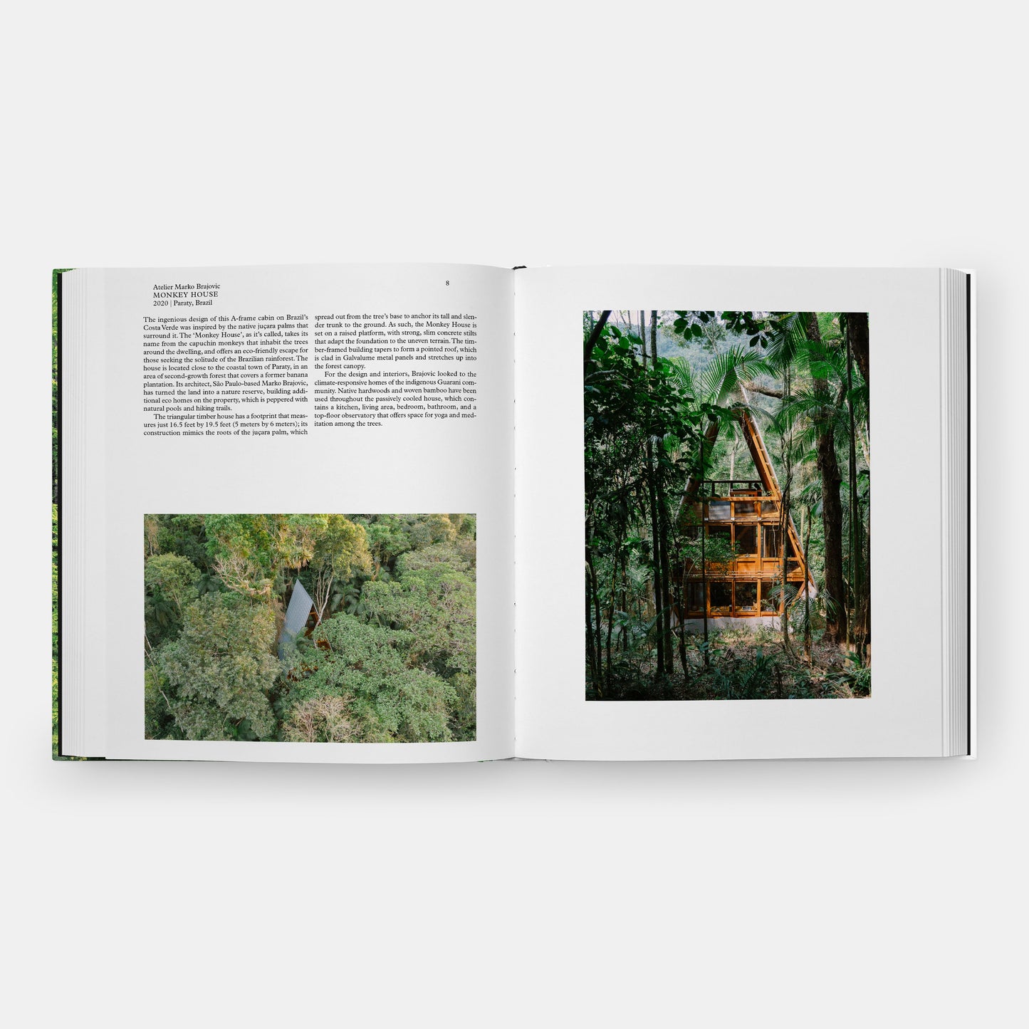 Vivir en el bosque