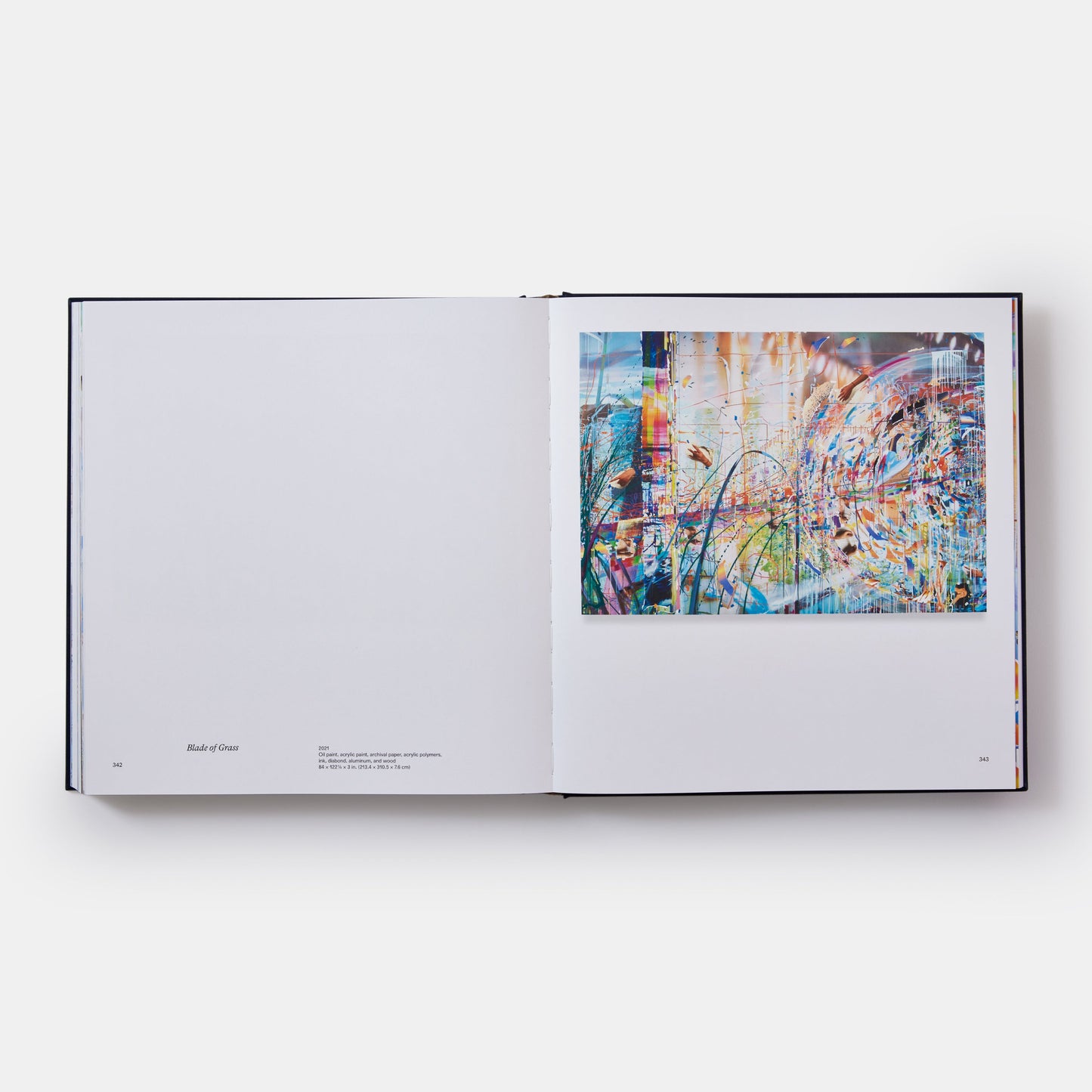 Sarah Sze: Pinturas