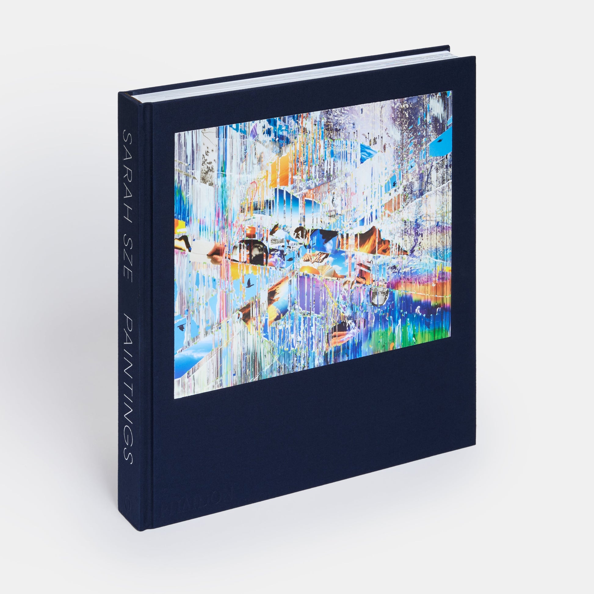Sarah Sze: Pinturas
