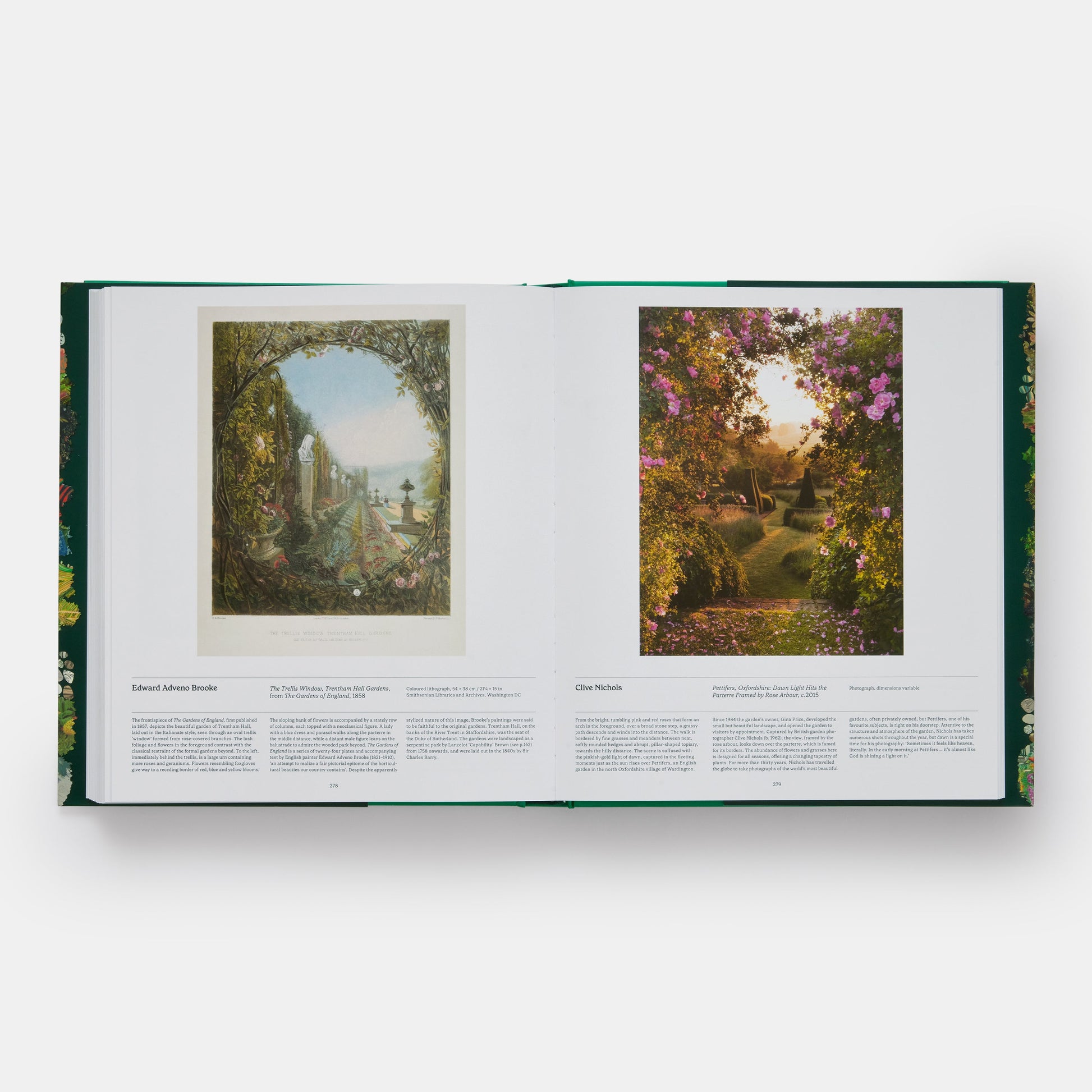 Jardín: Explorando el mundo de la horticultura