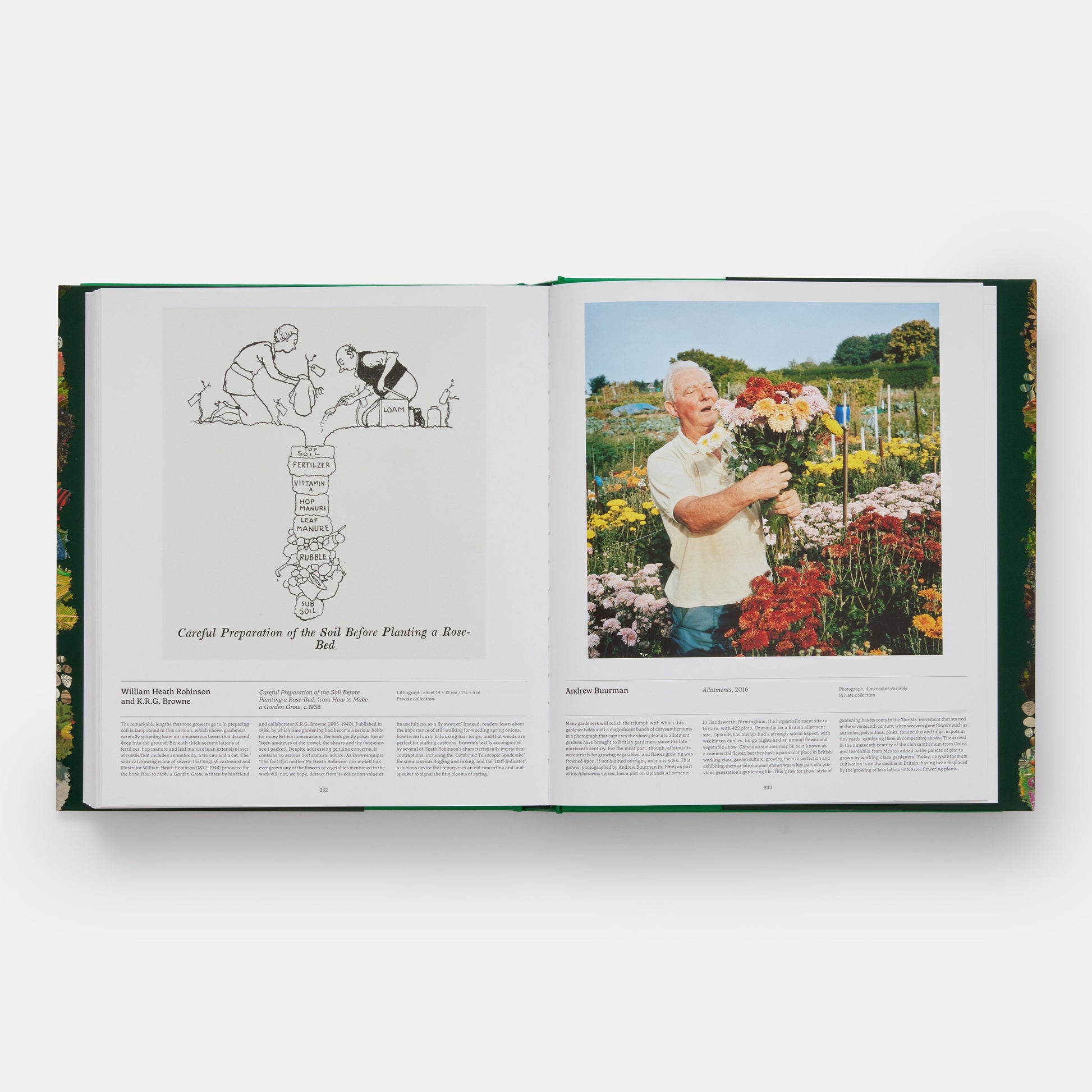 Jardín: Explorando el mundo de la horticultura