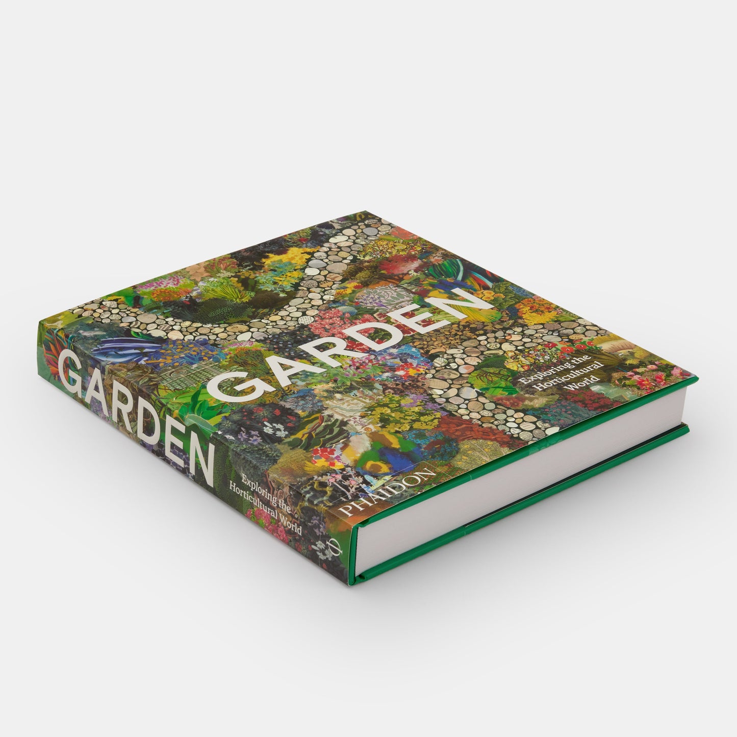 Jardín: Explorando el mundo de la horticultura