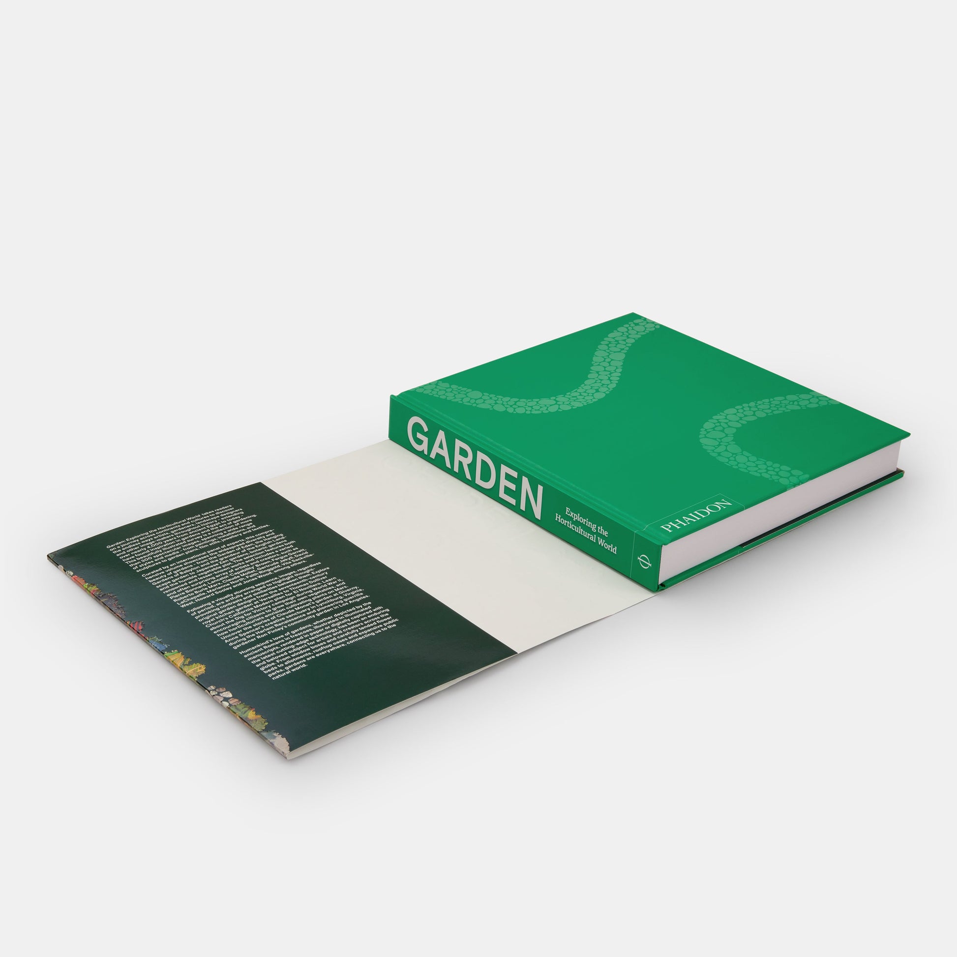 Jardín: Explorando el mundo de la horticultura