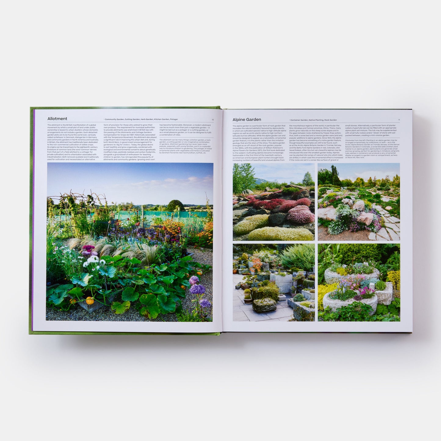 El jardín: elementos y estilos