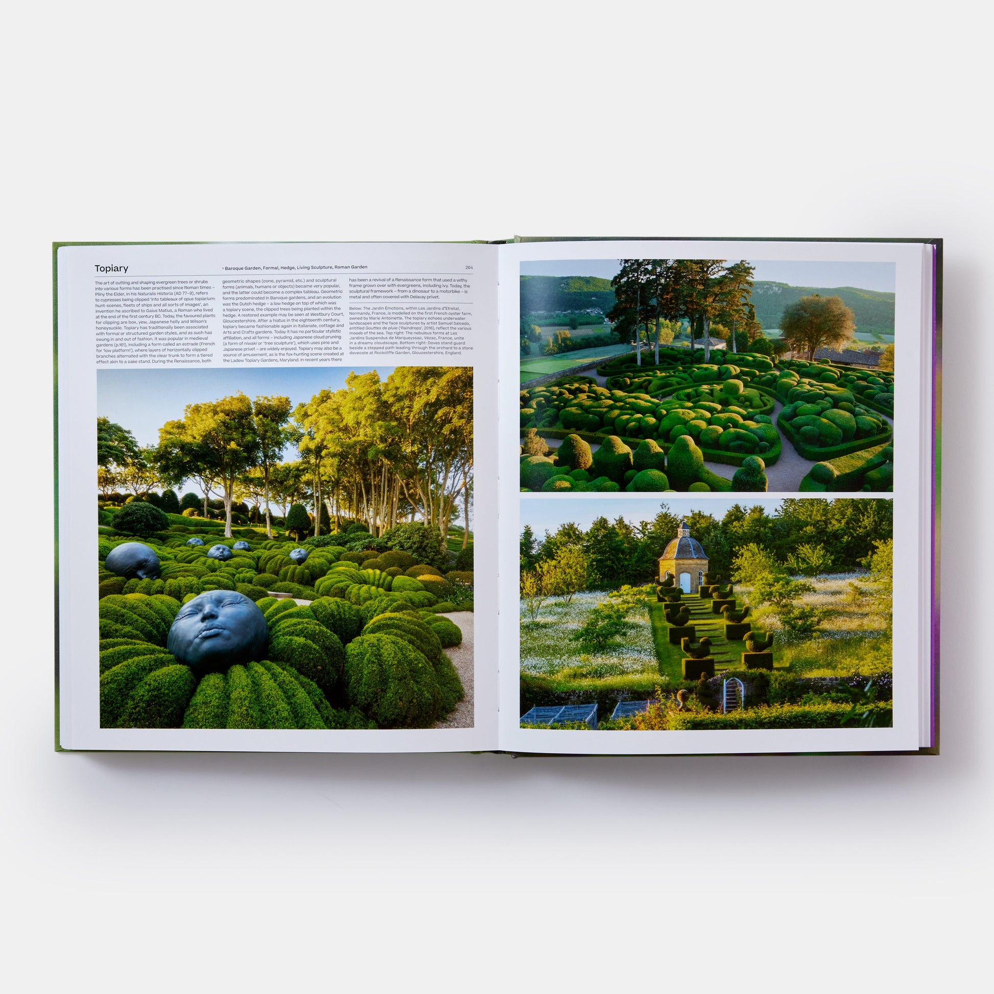 El jardín: elementos y estilos