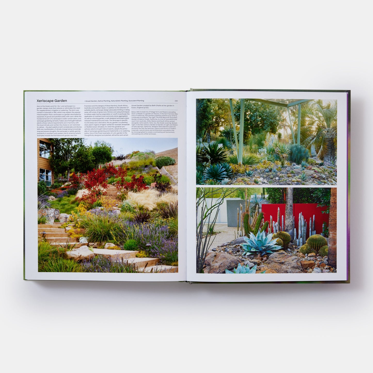 El jardín: elementos y estilos