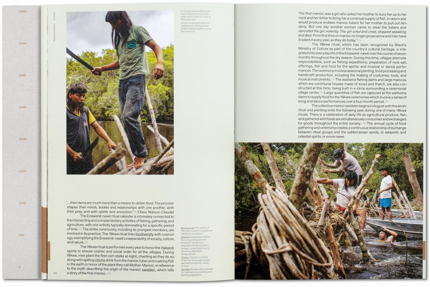 Julia Watson. Lo—TEK. Diseño por Indigenismo Radical