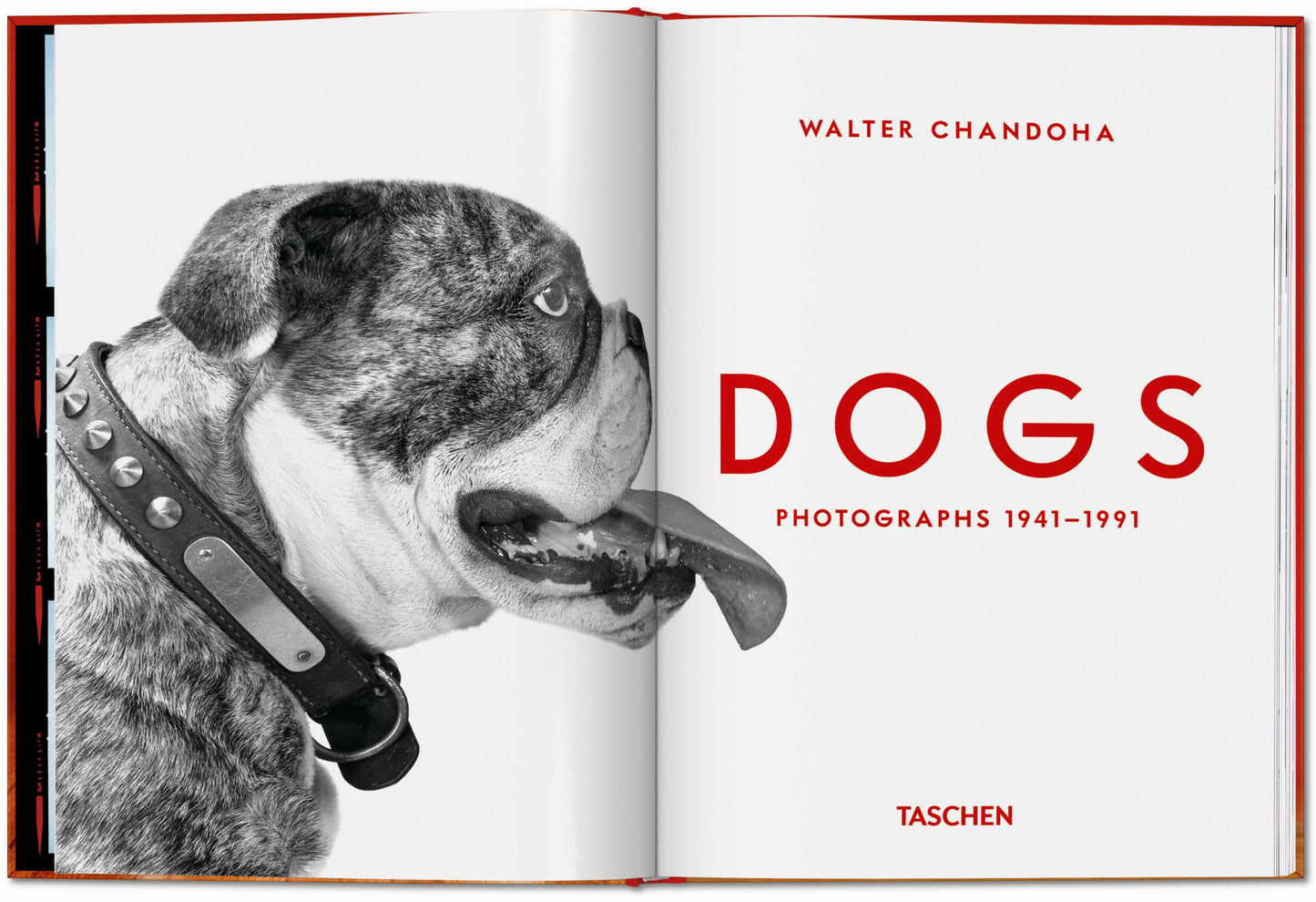Walter Chandoha. Perros. Fotografías 1941–1991