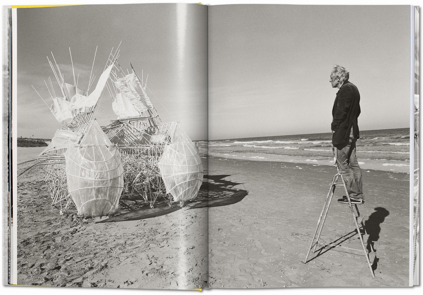 Strandbeest. Las máquinas soñadoras de Theo Jansen