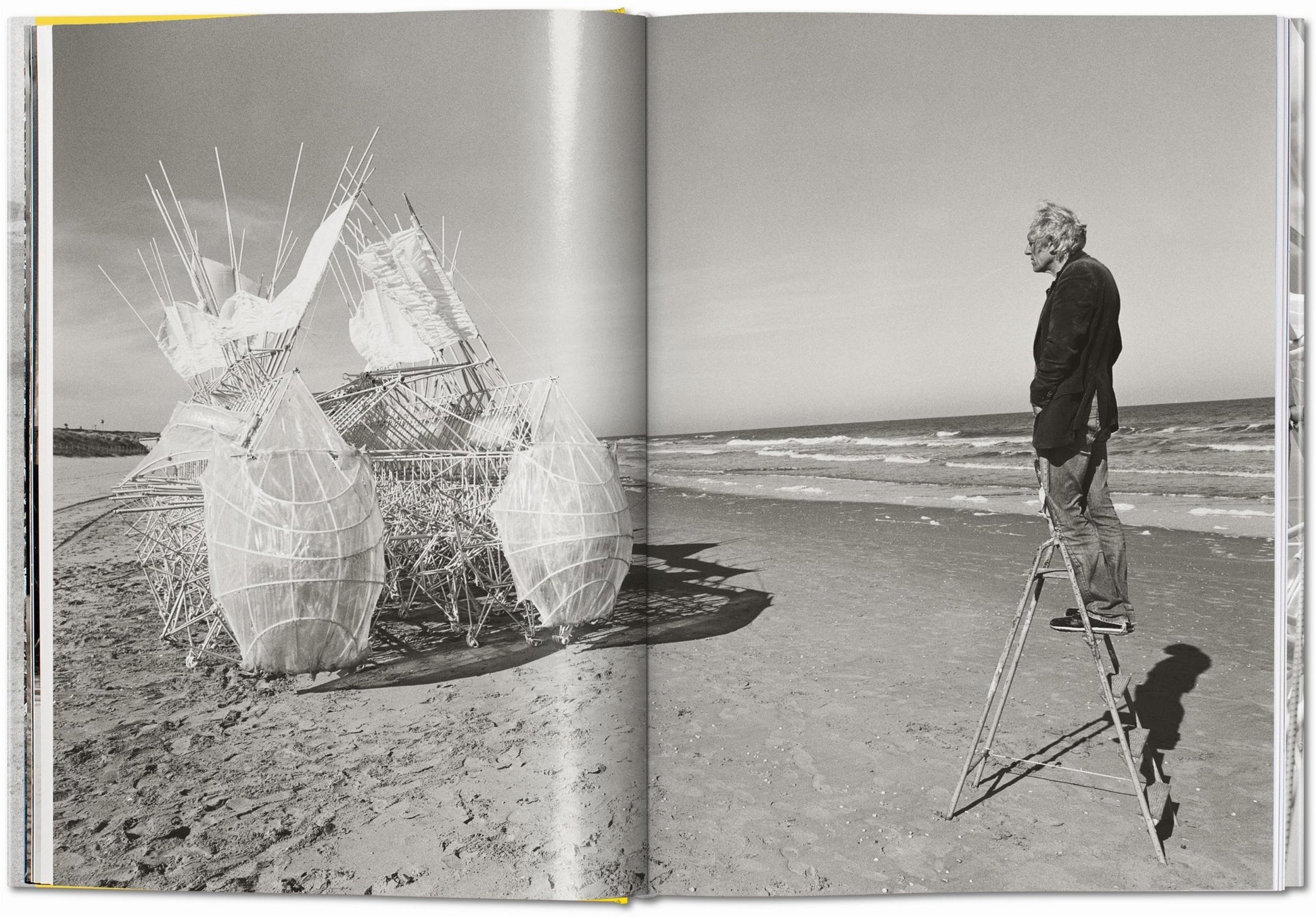 Strandbeest. Las máquinas soñadoras de Theo Jansen