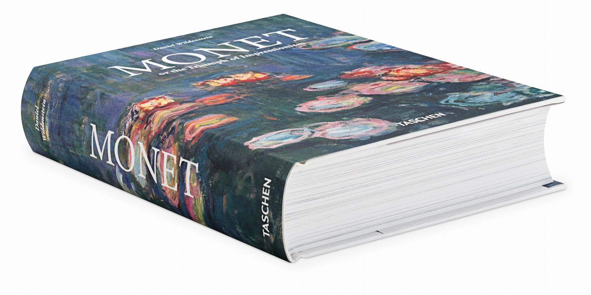 Monet. El triunfo del impresionismo
