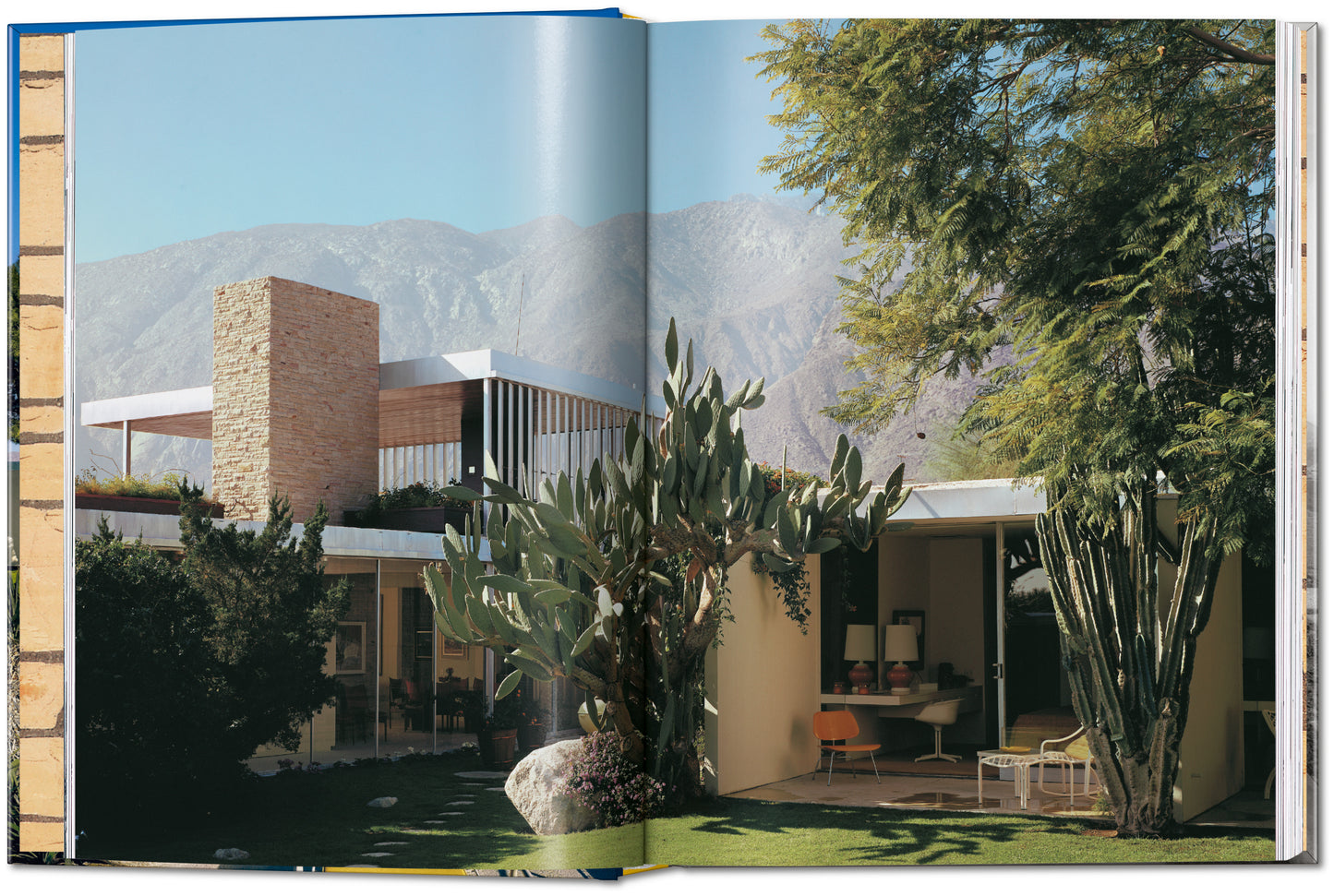 Neutra. 45ª ed.