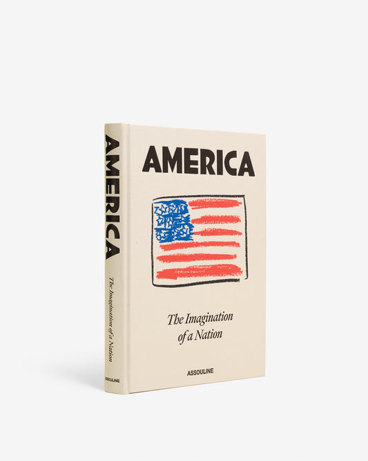 AMERICA: THE IMAGINATION OF A NATION