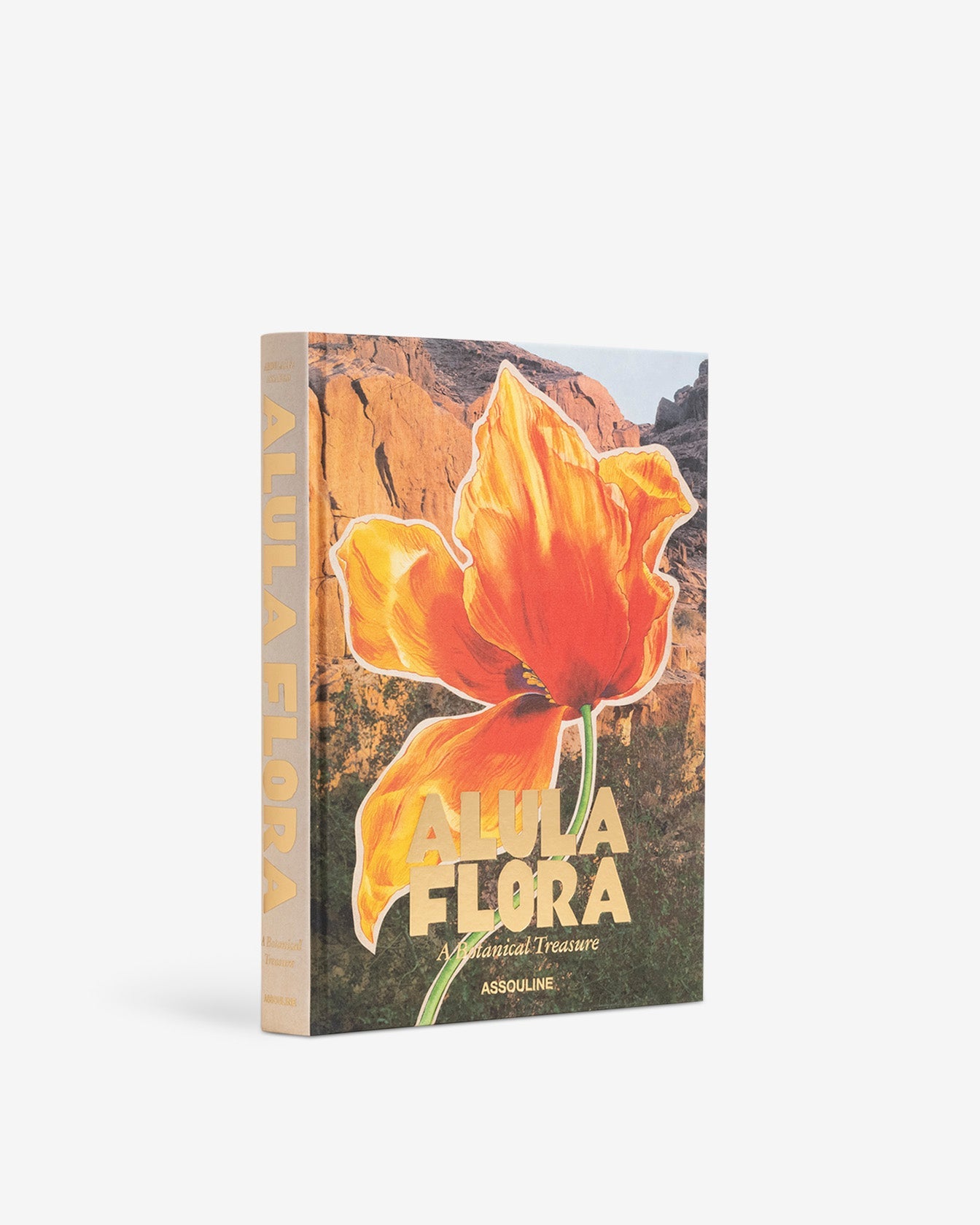 FLORA DE ALULA