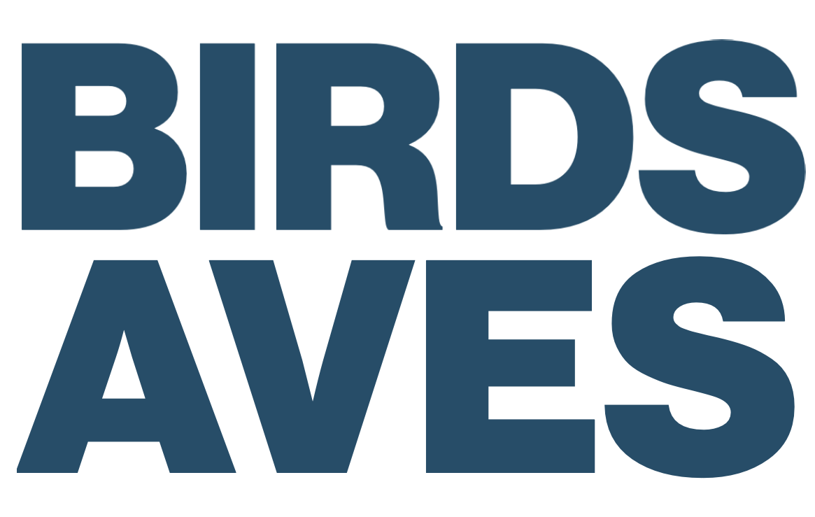 AVES, TERRITORIO & TIEMPO, Colombia