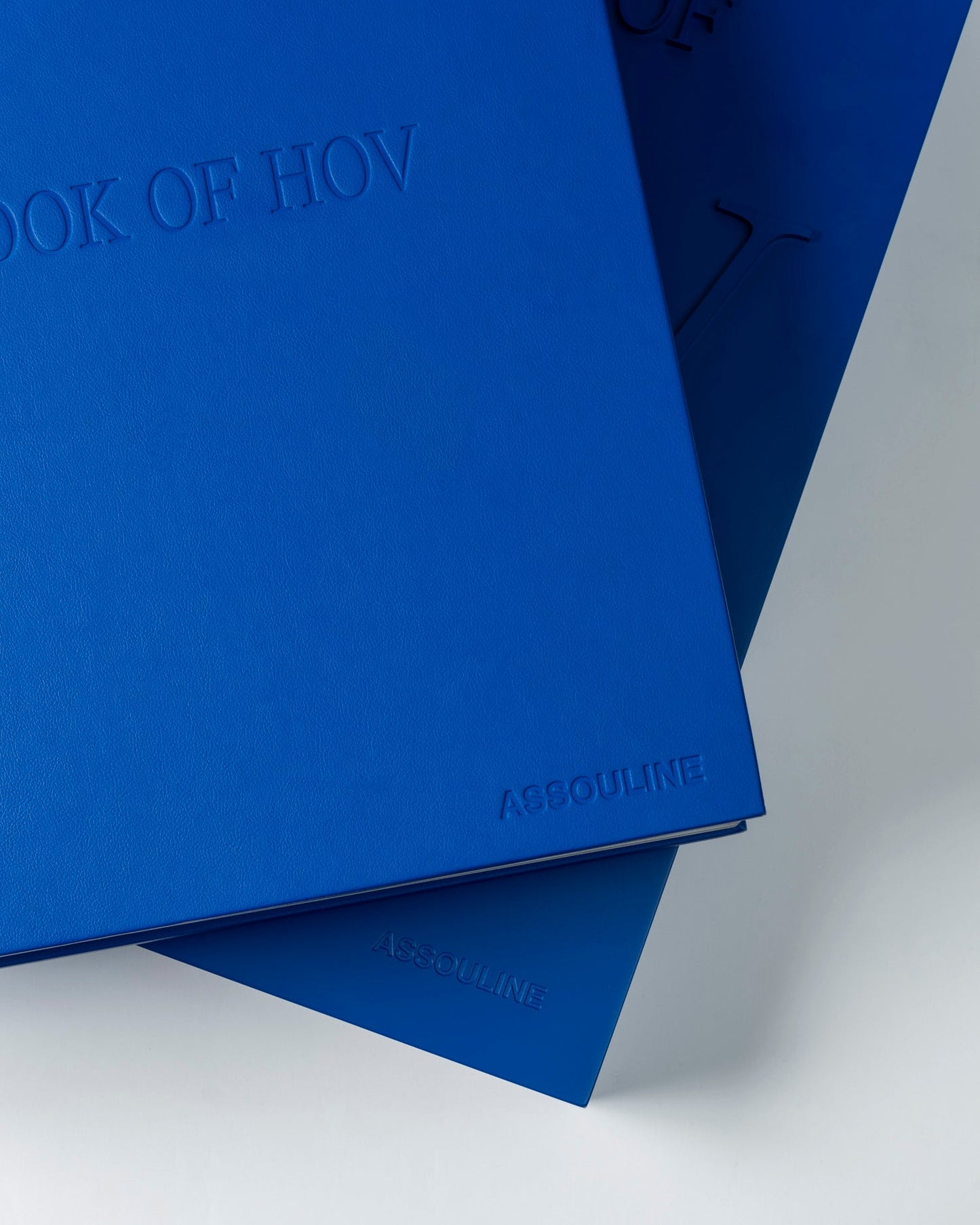 THE BOOK OF HOV: UN TRIBUTO A JAY-Z (DEFINITIVO)
