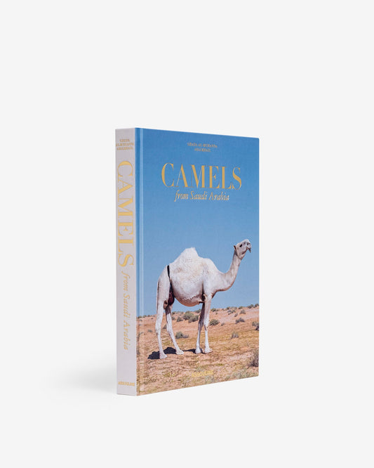 CAMELLOS DE ARABIA SAUDITA (CLÁSICO)