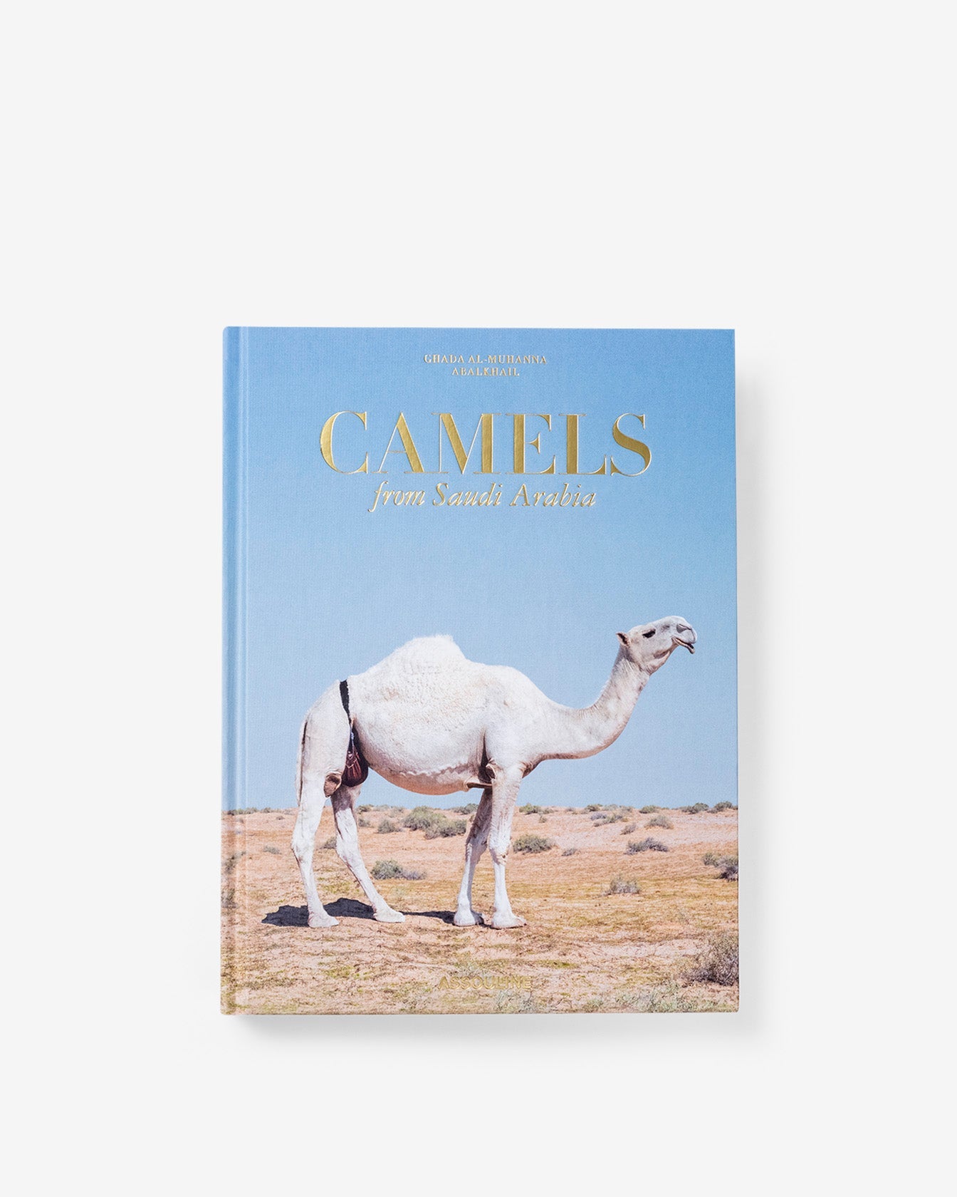 CAMELLOS DE ARABIA SAUDITA (CLÁSICO)