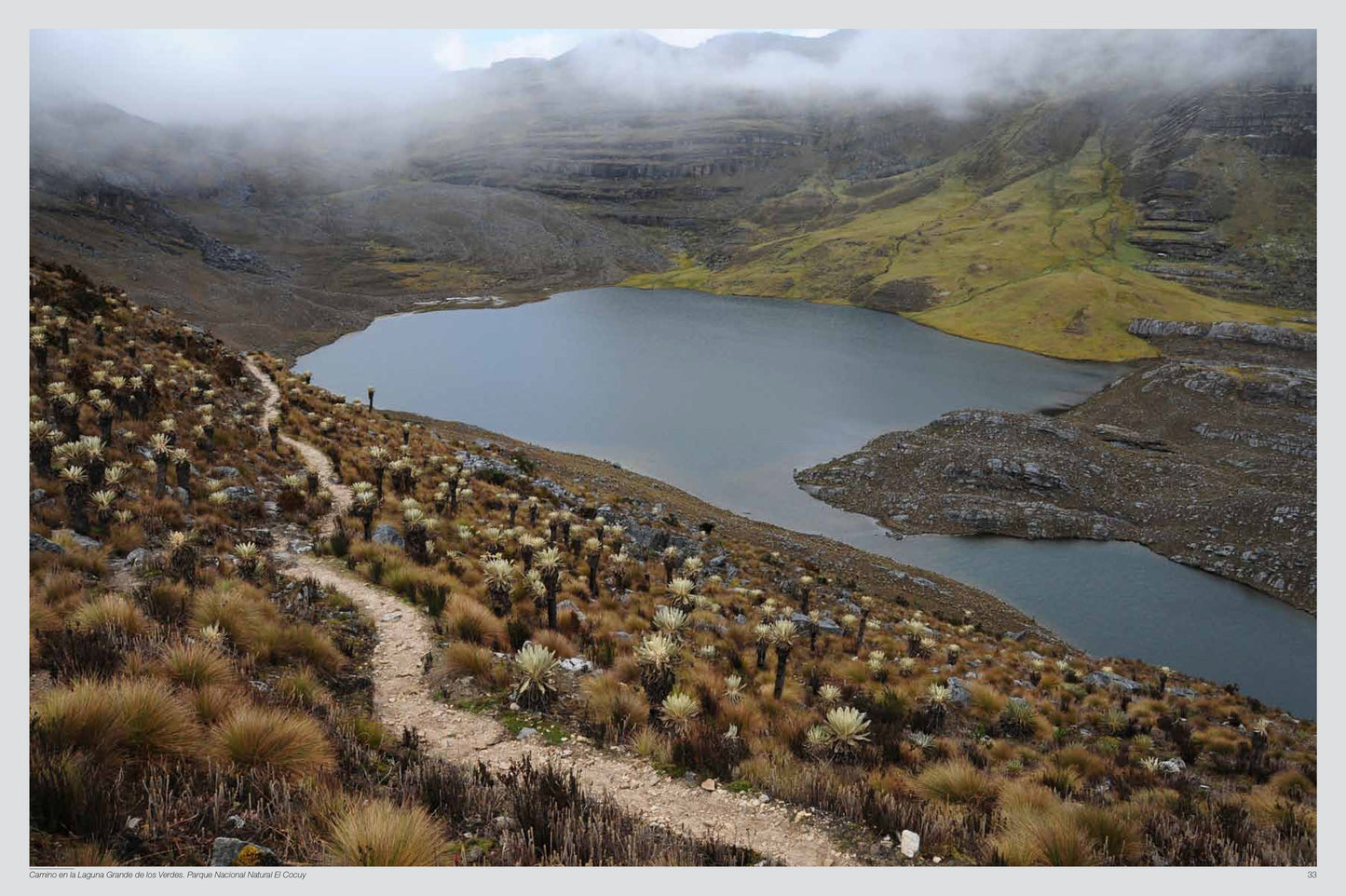 Trekking Colombia -Weaving The Planet & Villegas Editores-Libros